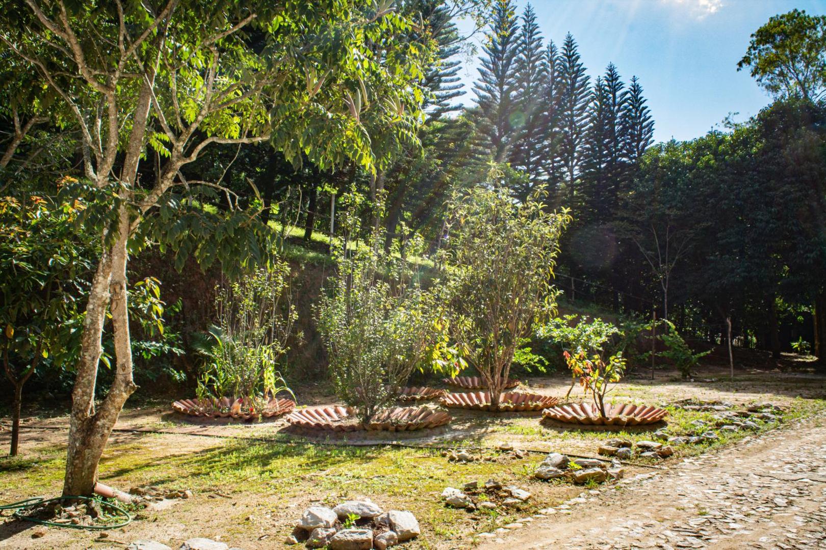 Saíra Recanto De Serra