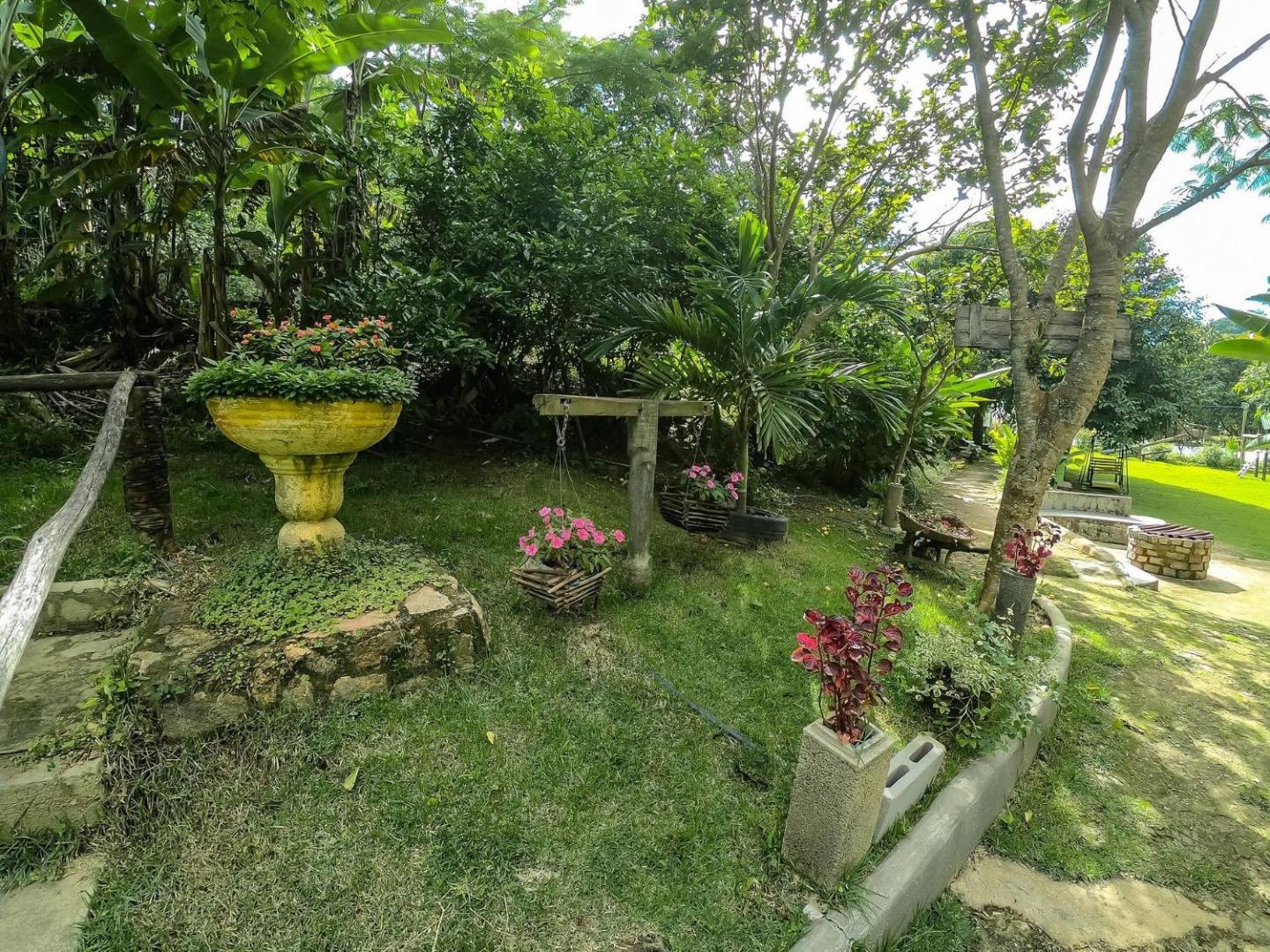 Saíra Recanto De Serra