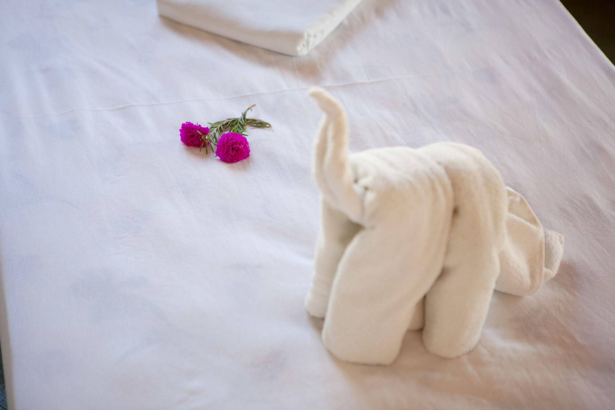 Hotel Vila Jardim