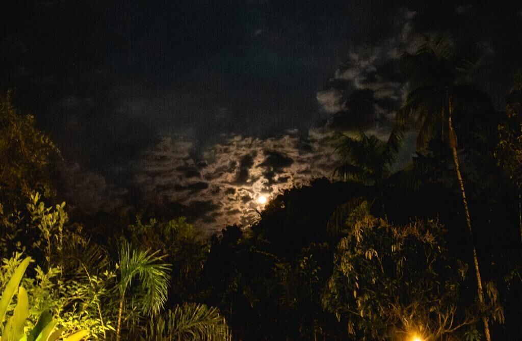 Espaço Viverde