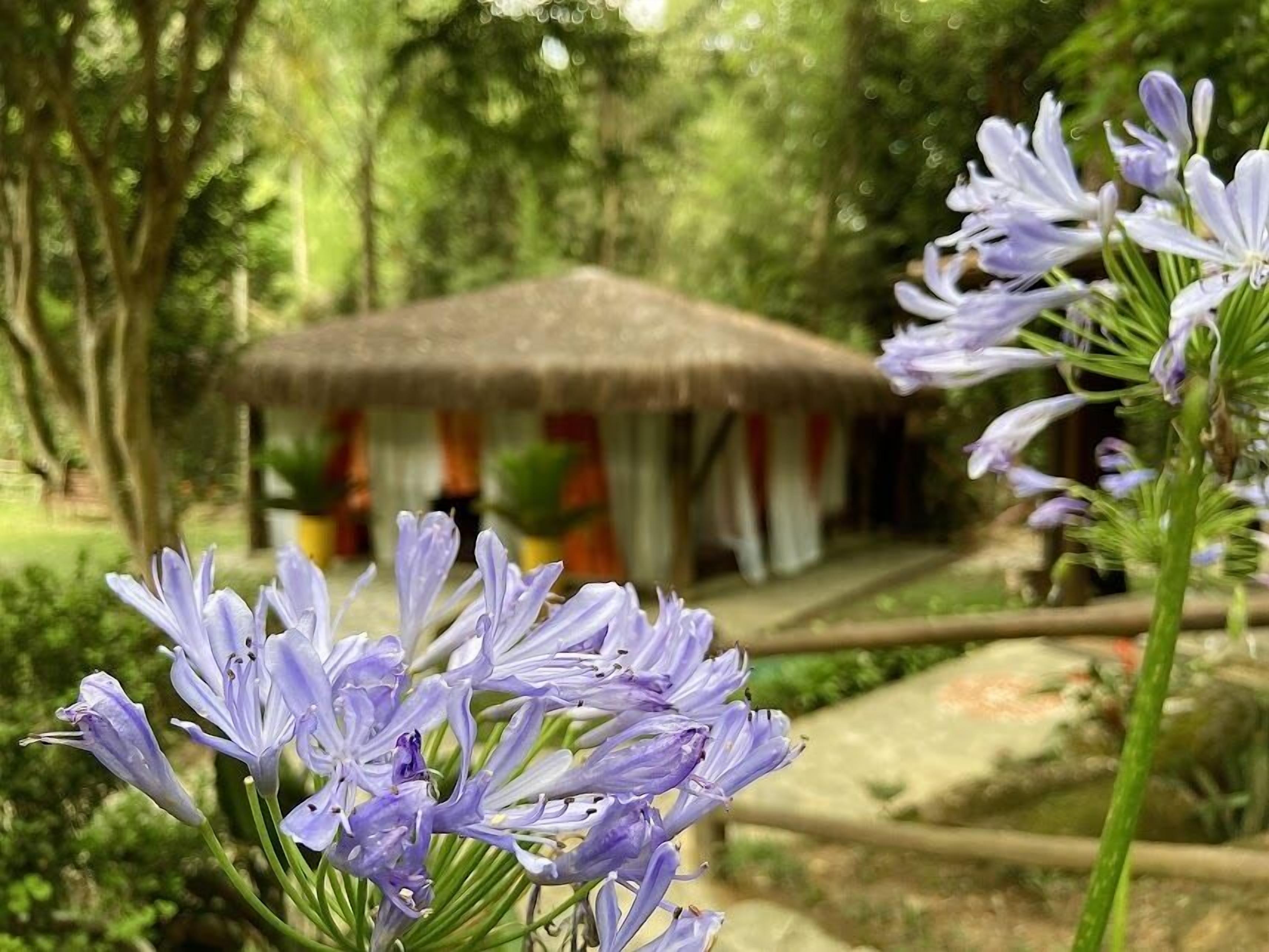 Espaço Viverde