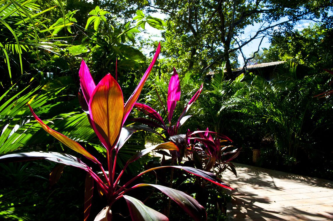 Sombra e Água Fresca Hotéis