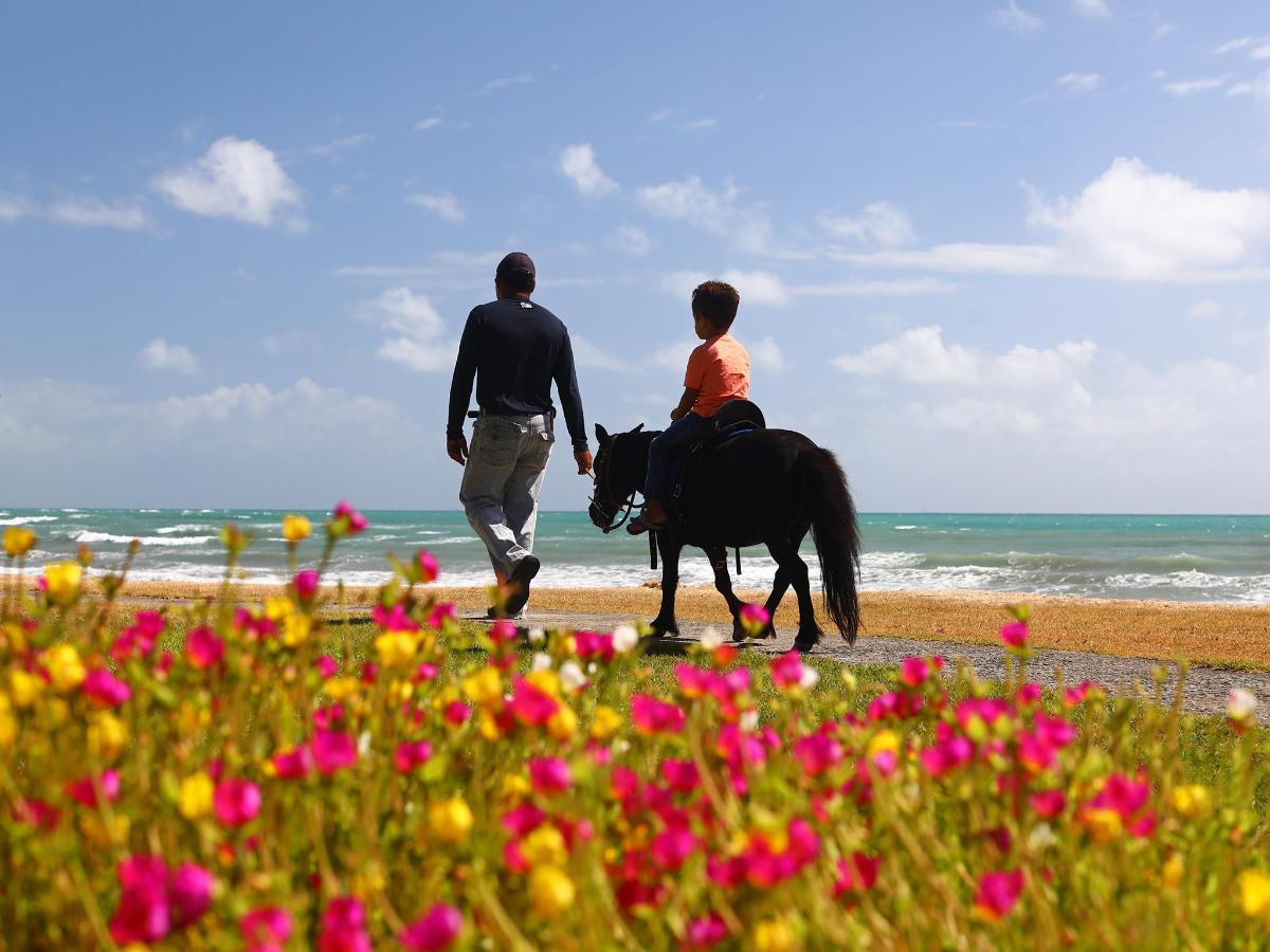 Pousada Xales de Maracaipe