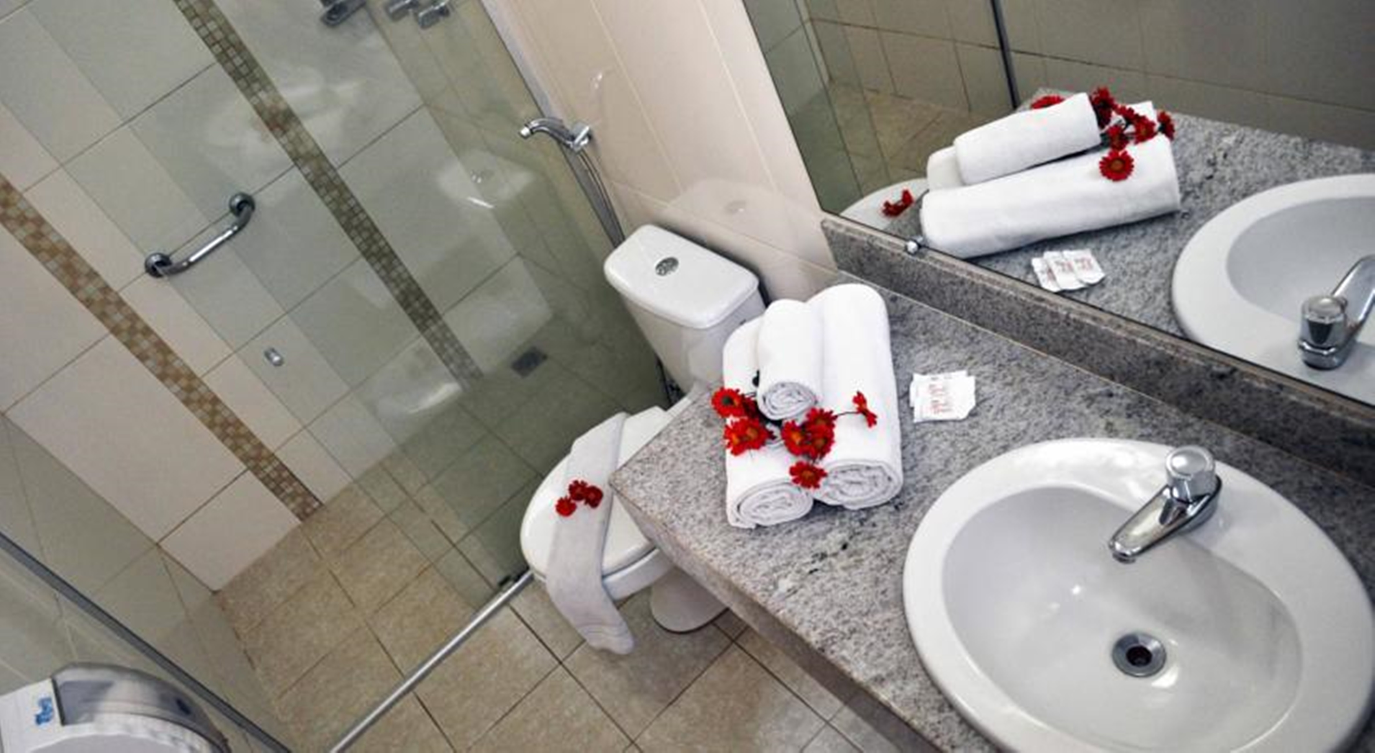 Hotel Terra Brasil