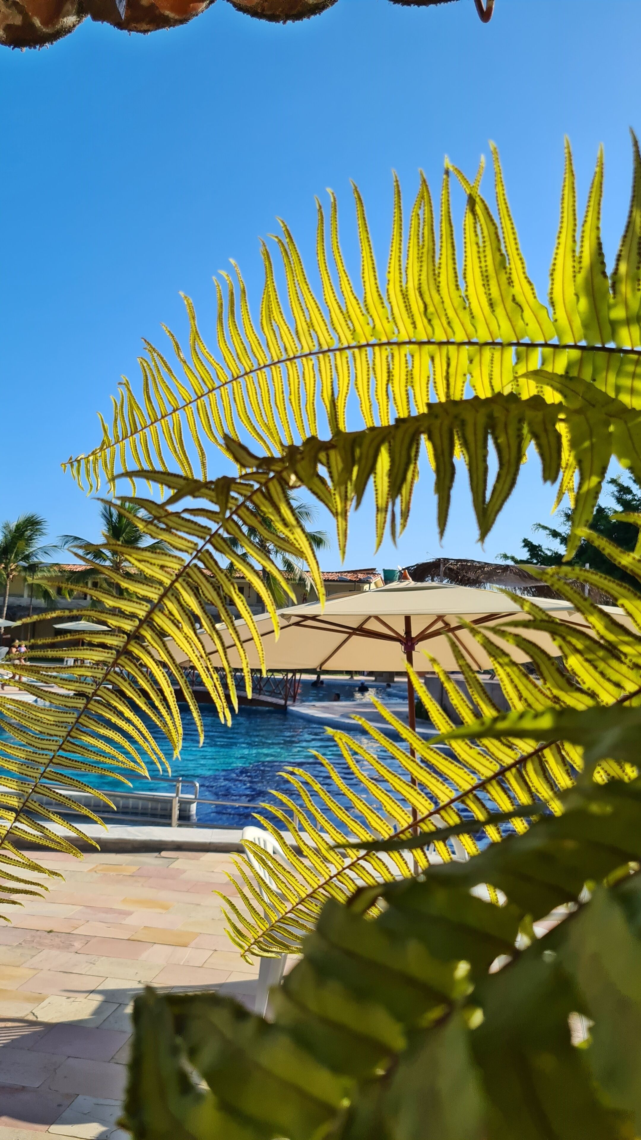 Arena Carneiros Hotel by Aft