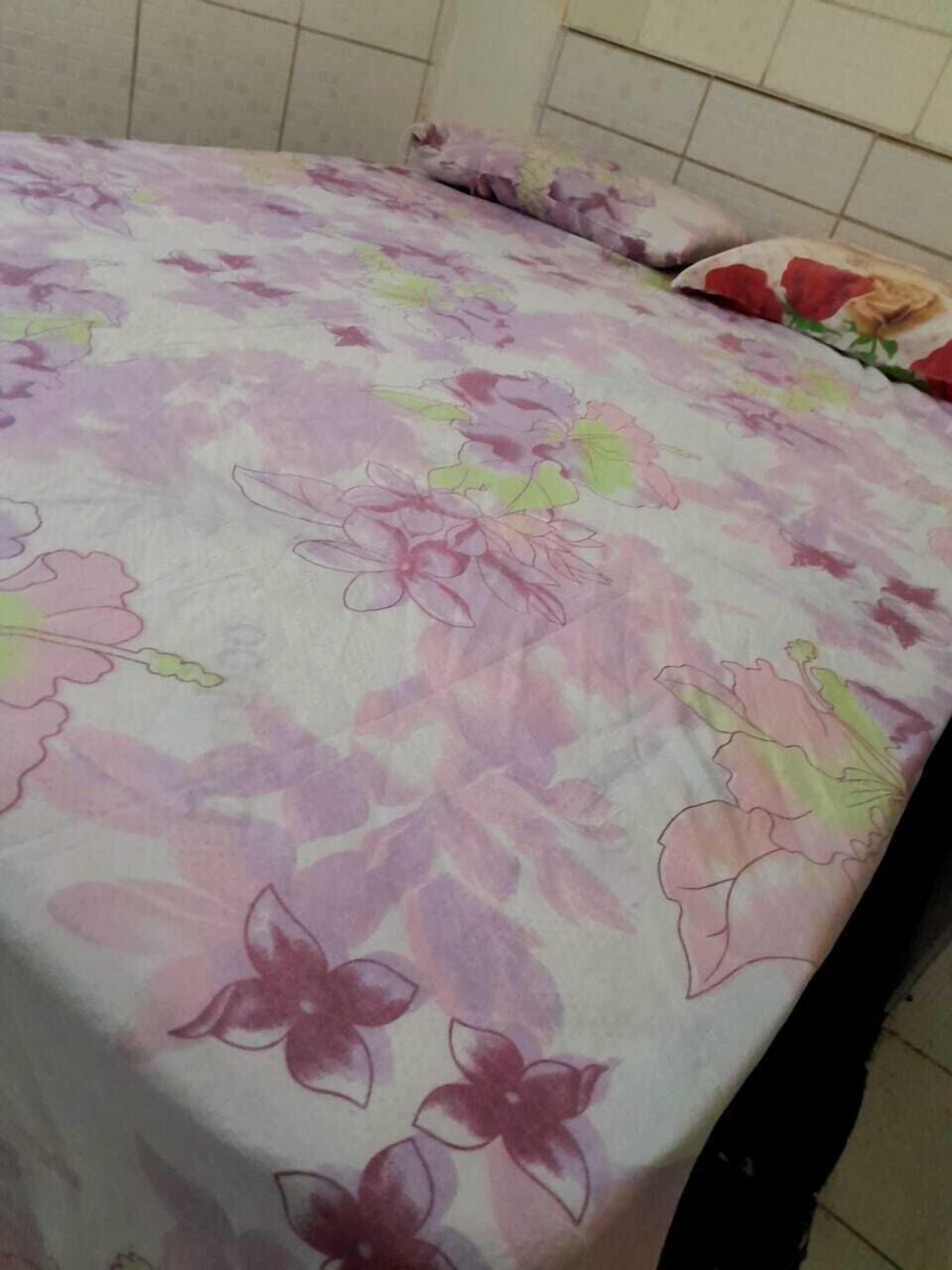 Hostel Bimba Salvador