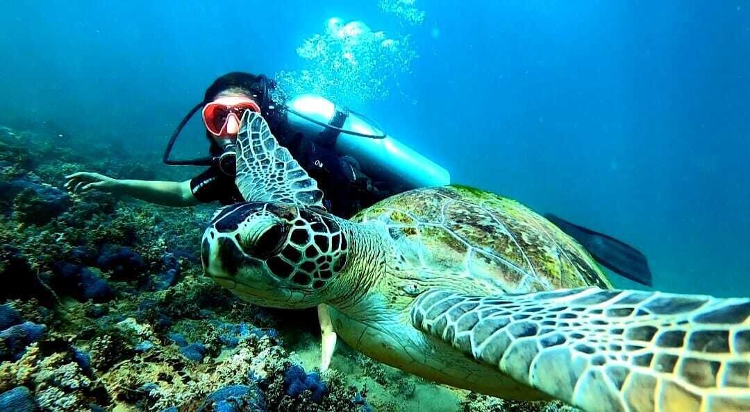 Pousada Barra Porto Rentals