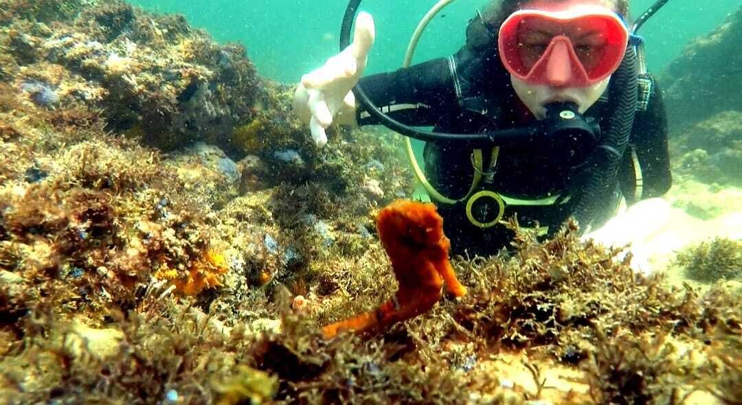 Pousada Barra Porto Rentals