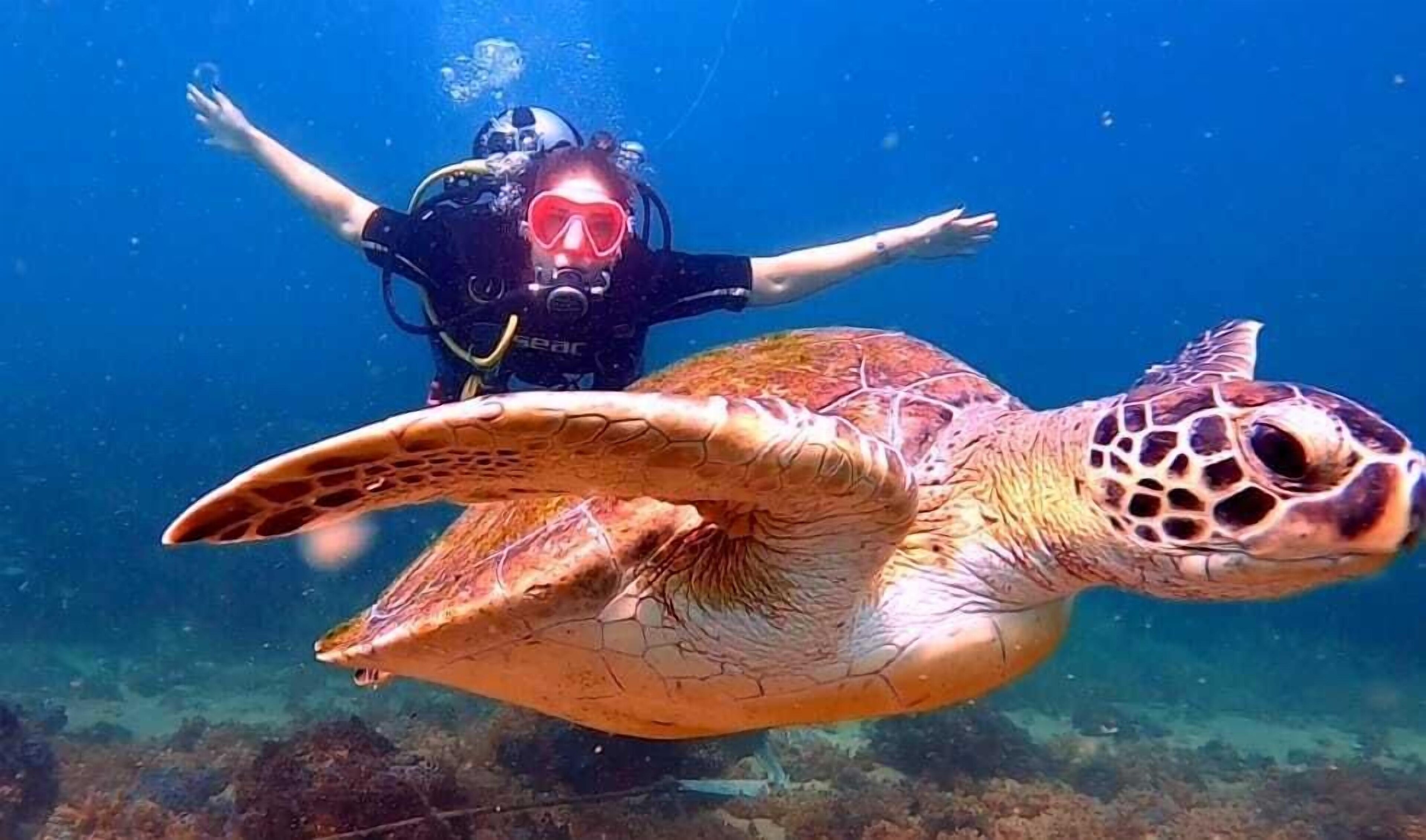 Pousada Barra Porto Rentals