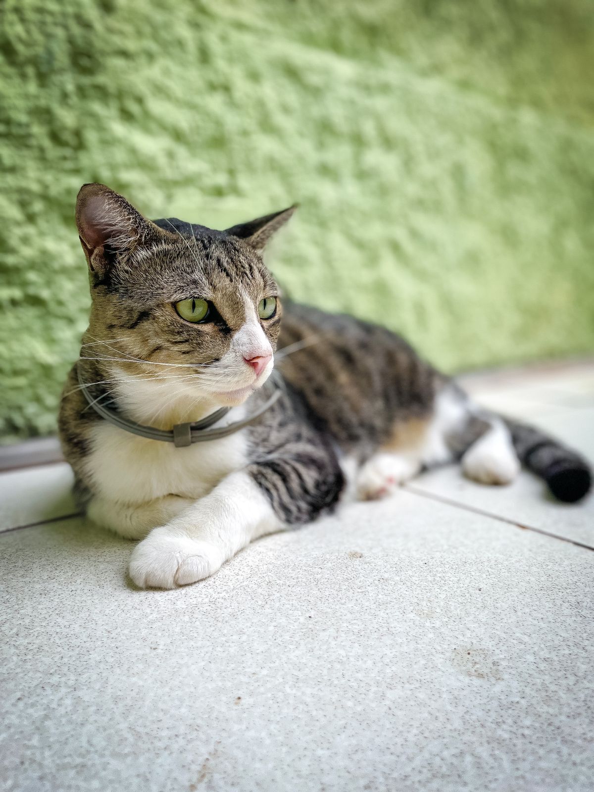 Pousada Barra Porto Rentals