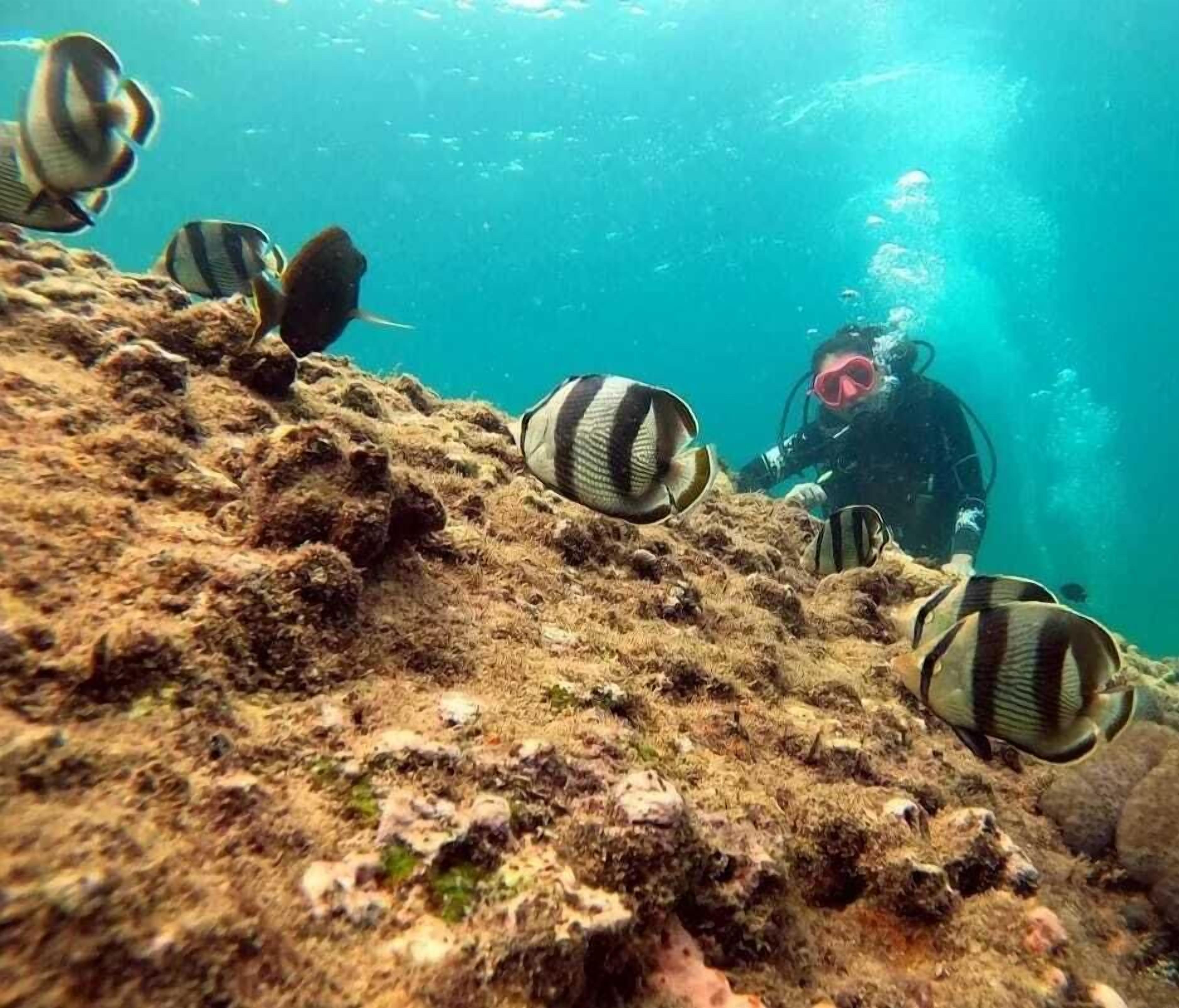 Pousada Barra Porto Rentals