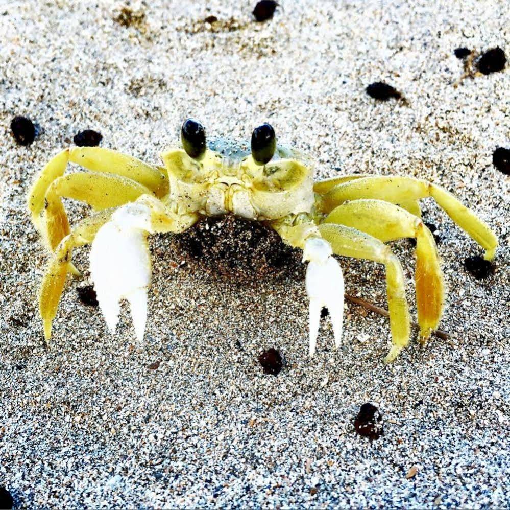 Pousada Praia Bonita