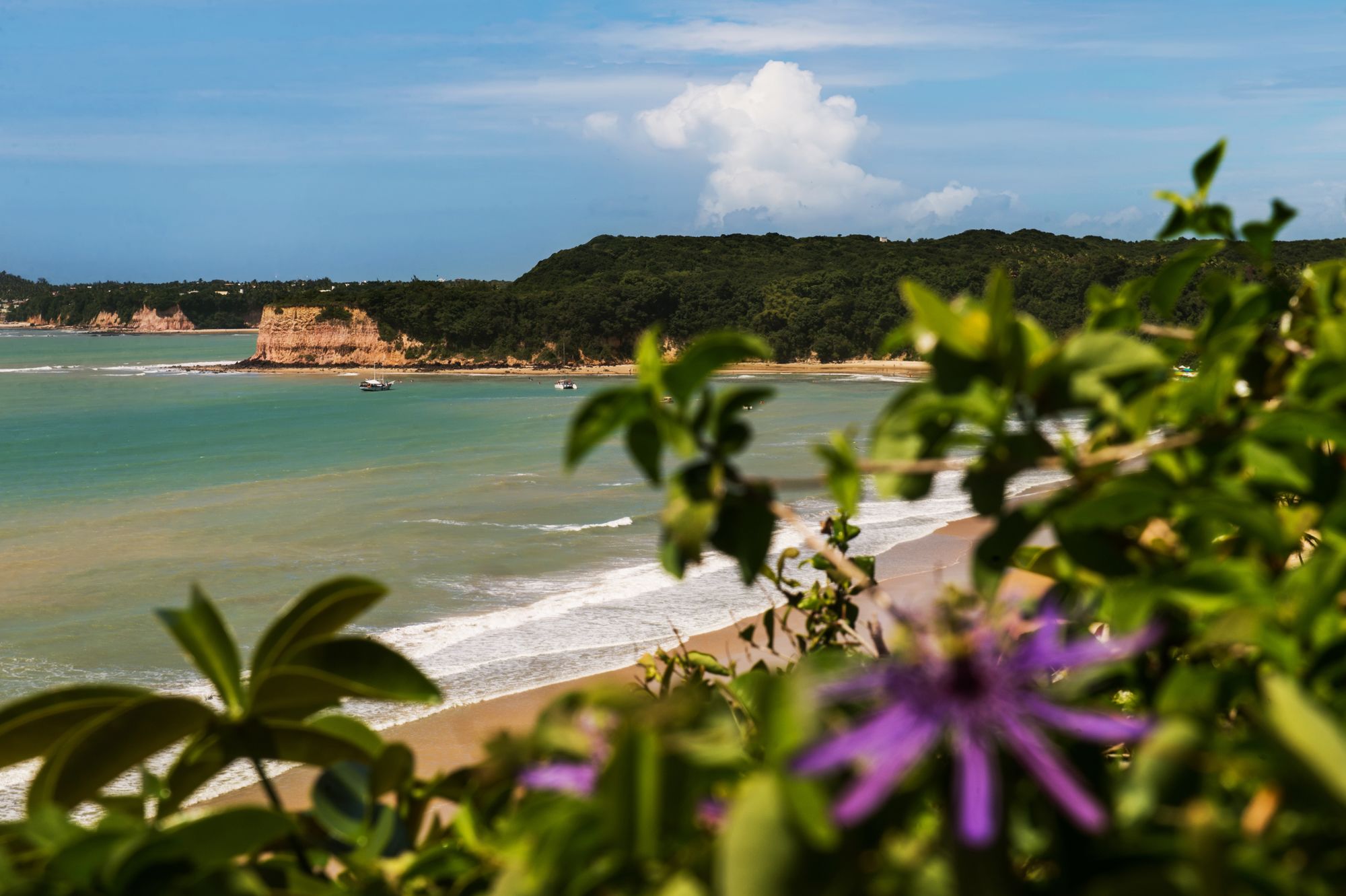 Hotel Ponta do Madeiro