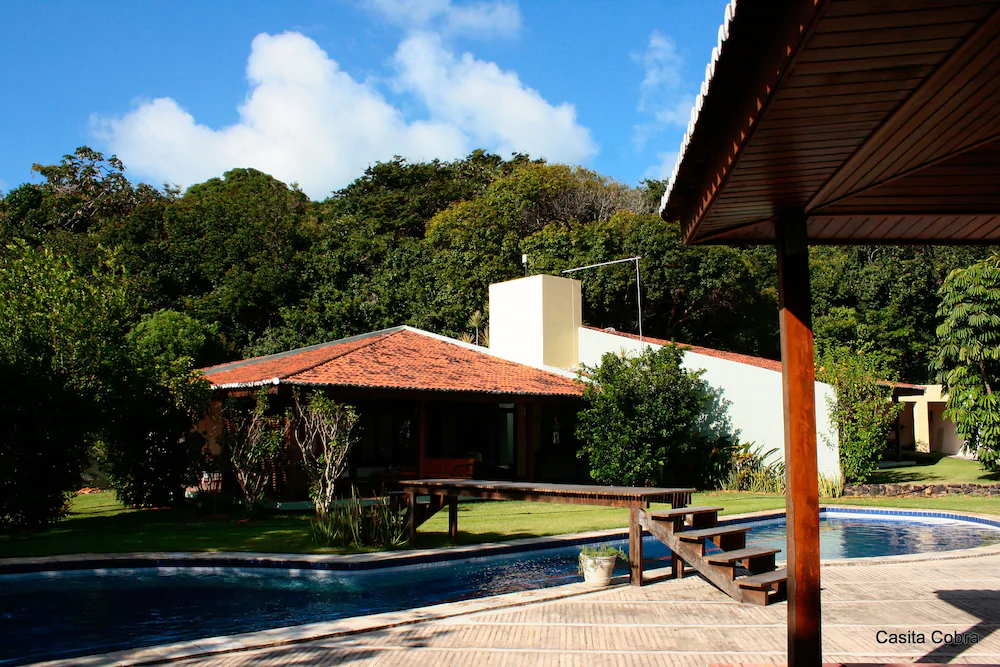 Pipa Casa Cobra
