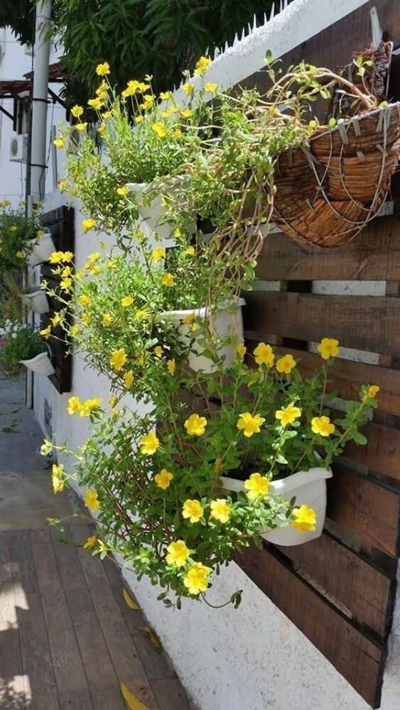 Pousada Mediterranea