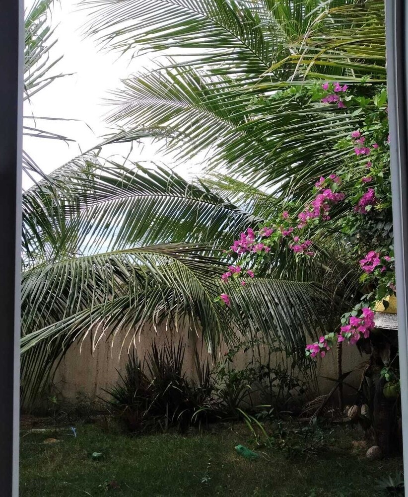 Dreams Paradise