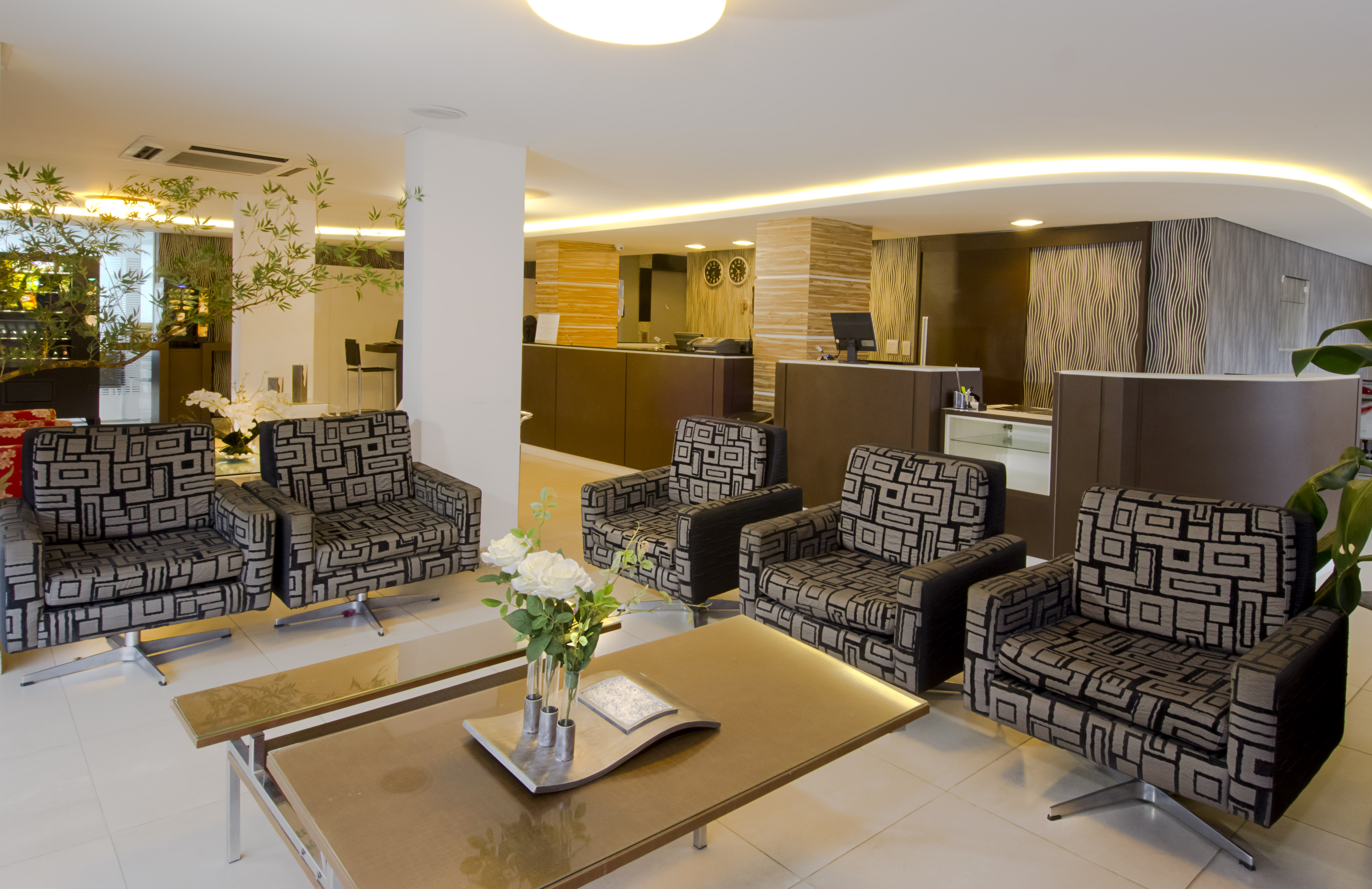 Hotel Palmas Executivo