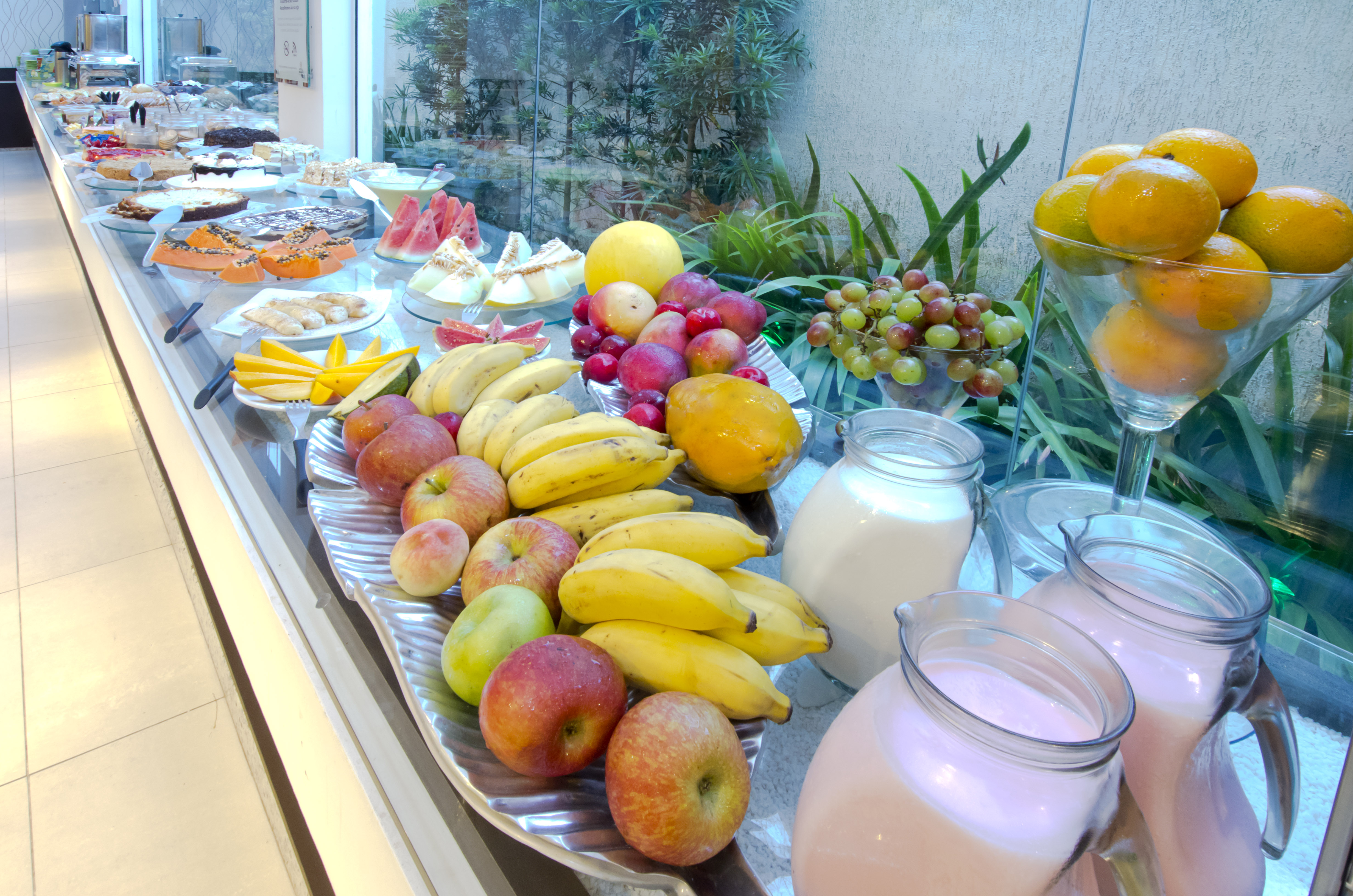 Hotel Palmas Executivo