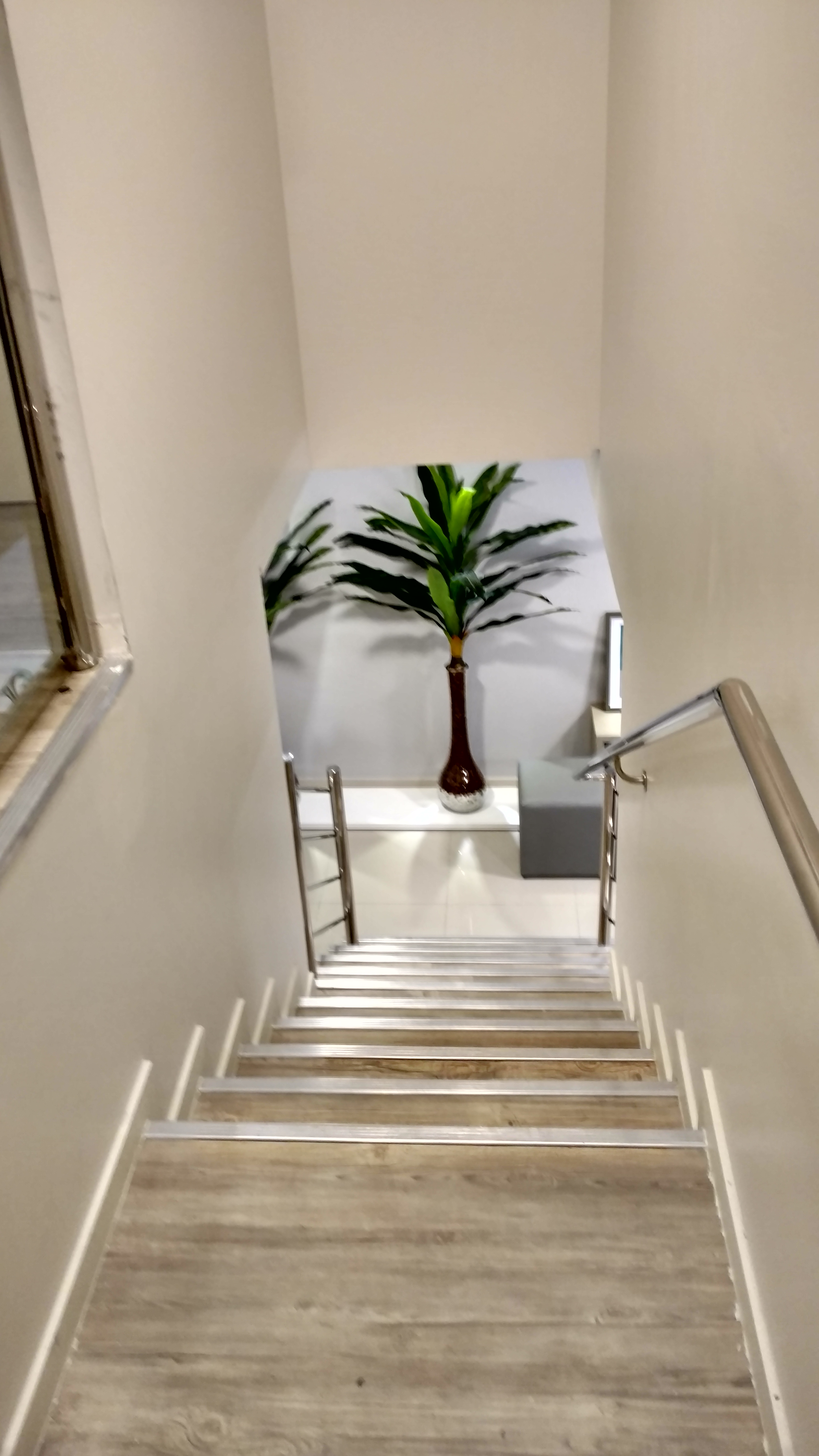 Hotel Palmas Executivo