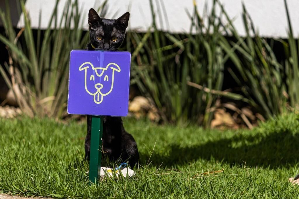 Makkai Resort Bombinhas