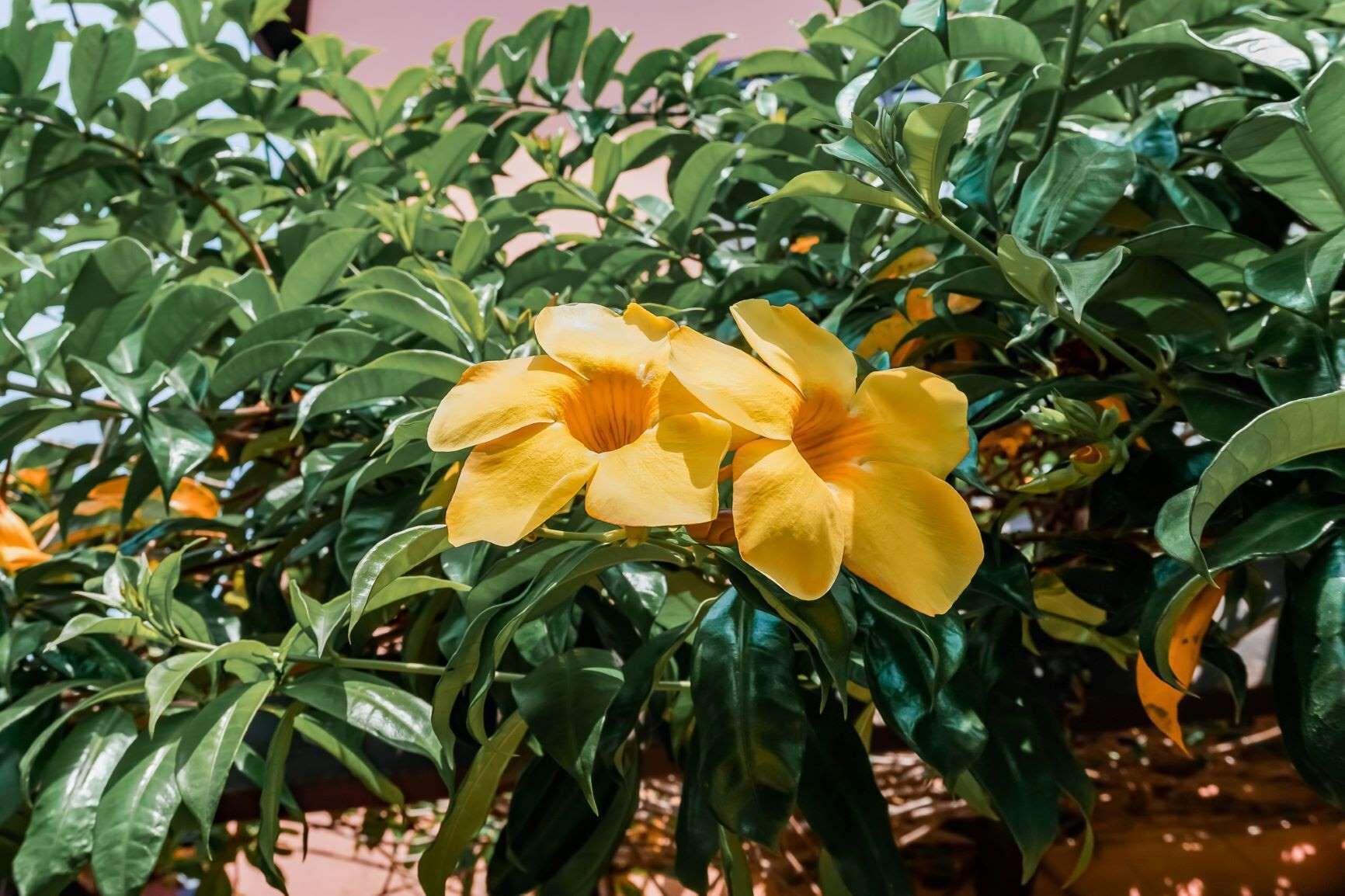 Residencial Bahia Do Sonho