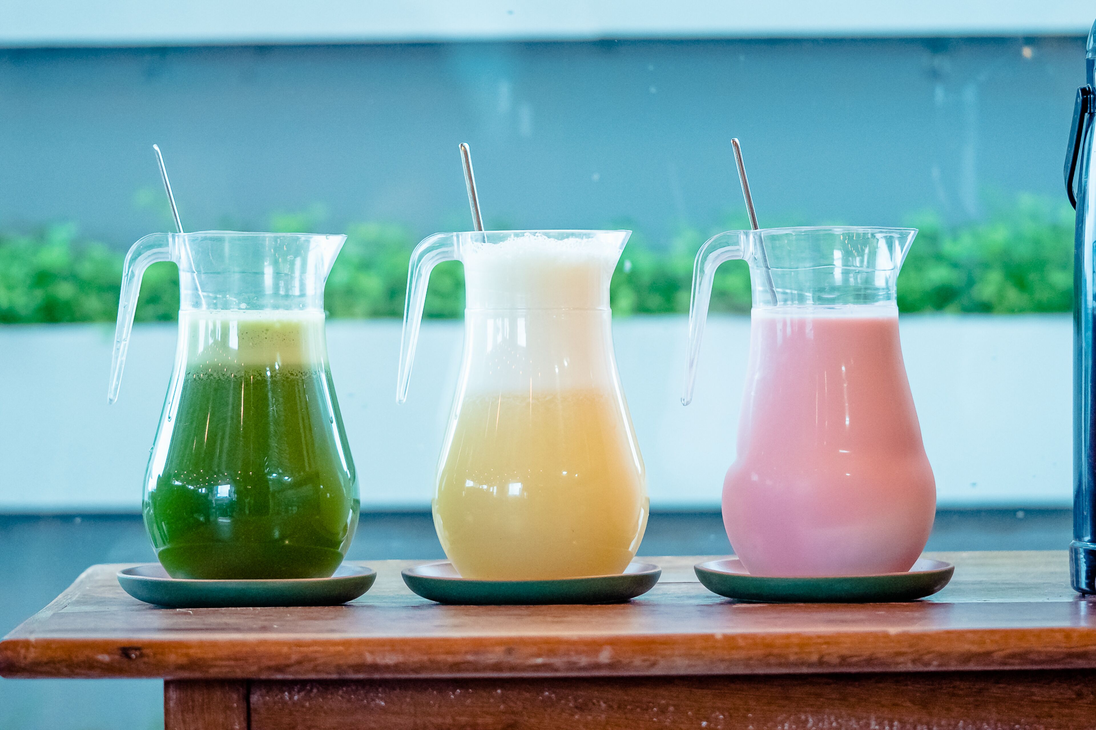 Refúgio Dos Coiotes