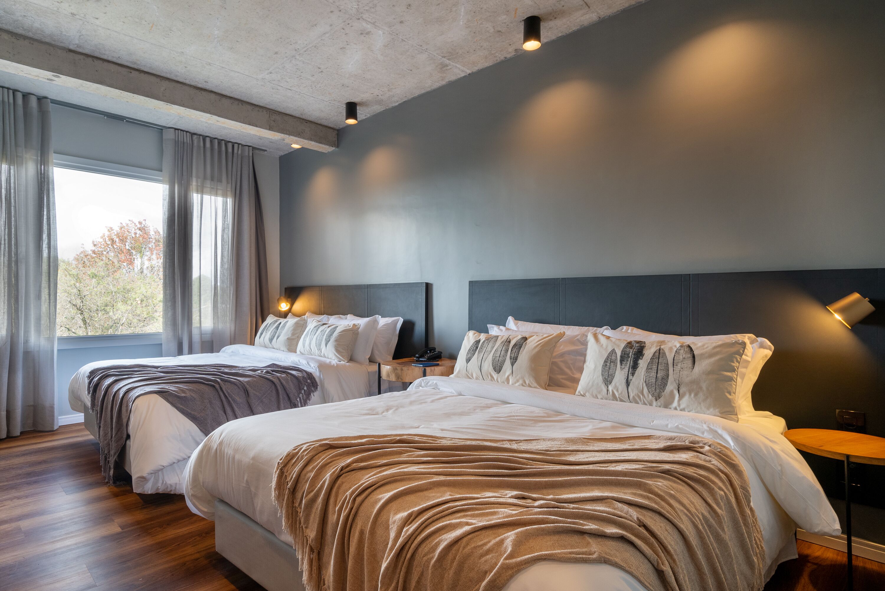 Jangal Das Araucarias Swan Design Hotel