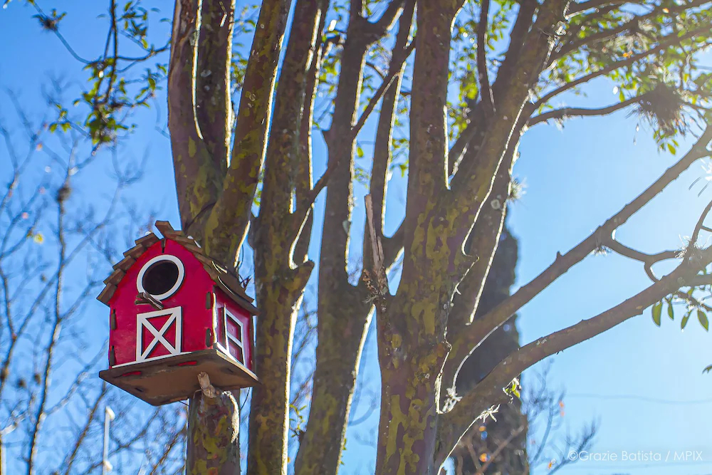 Bela Curitiba Hostel