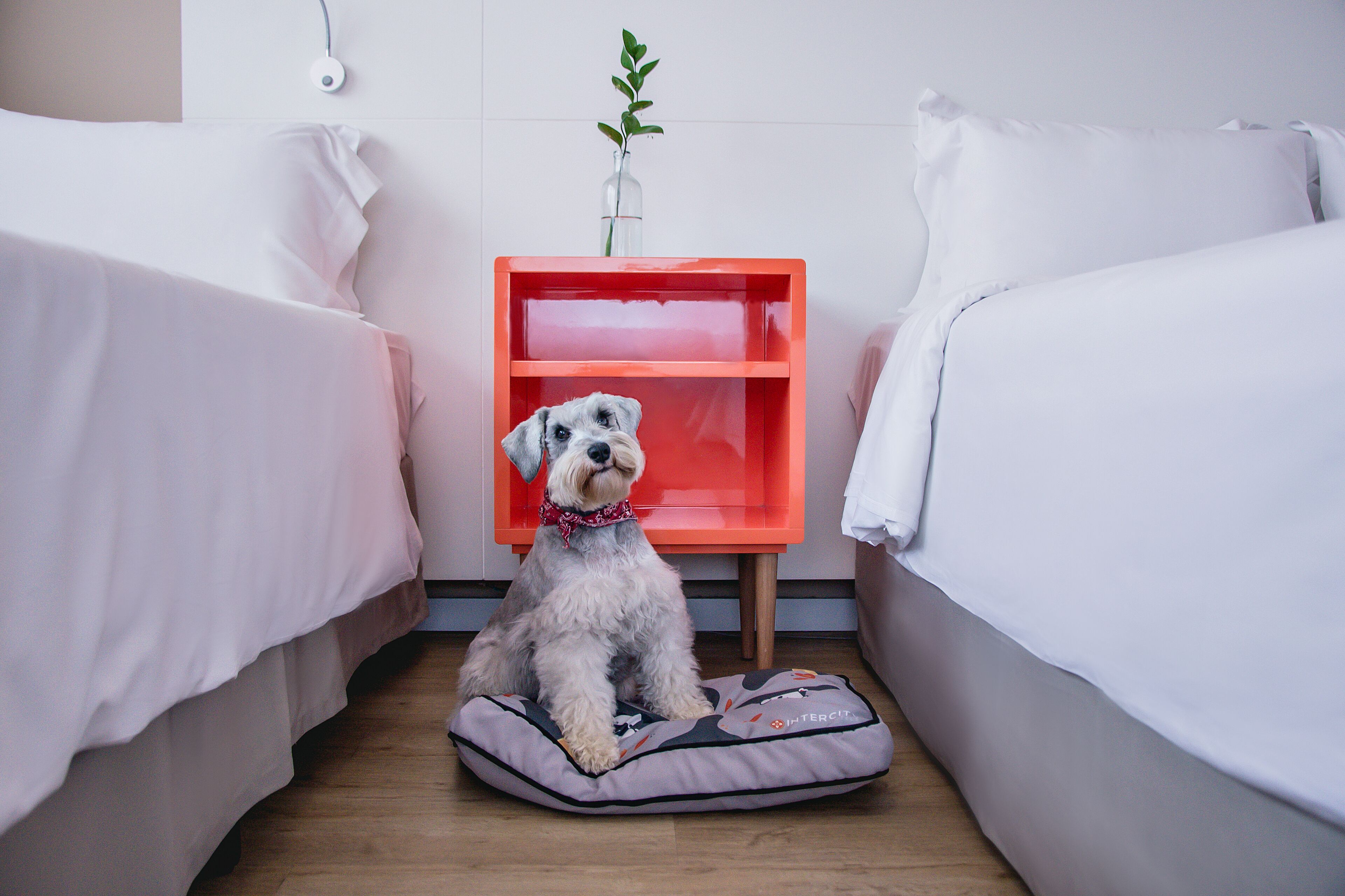 Intercity Curitiba - Centro Cívico