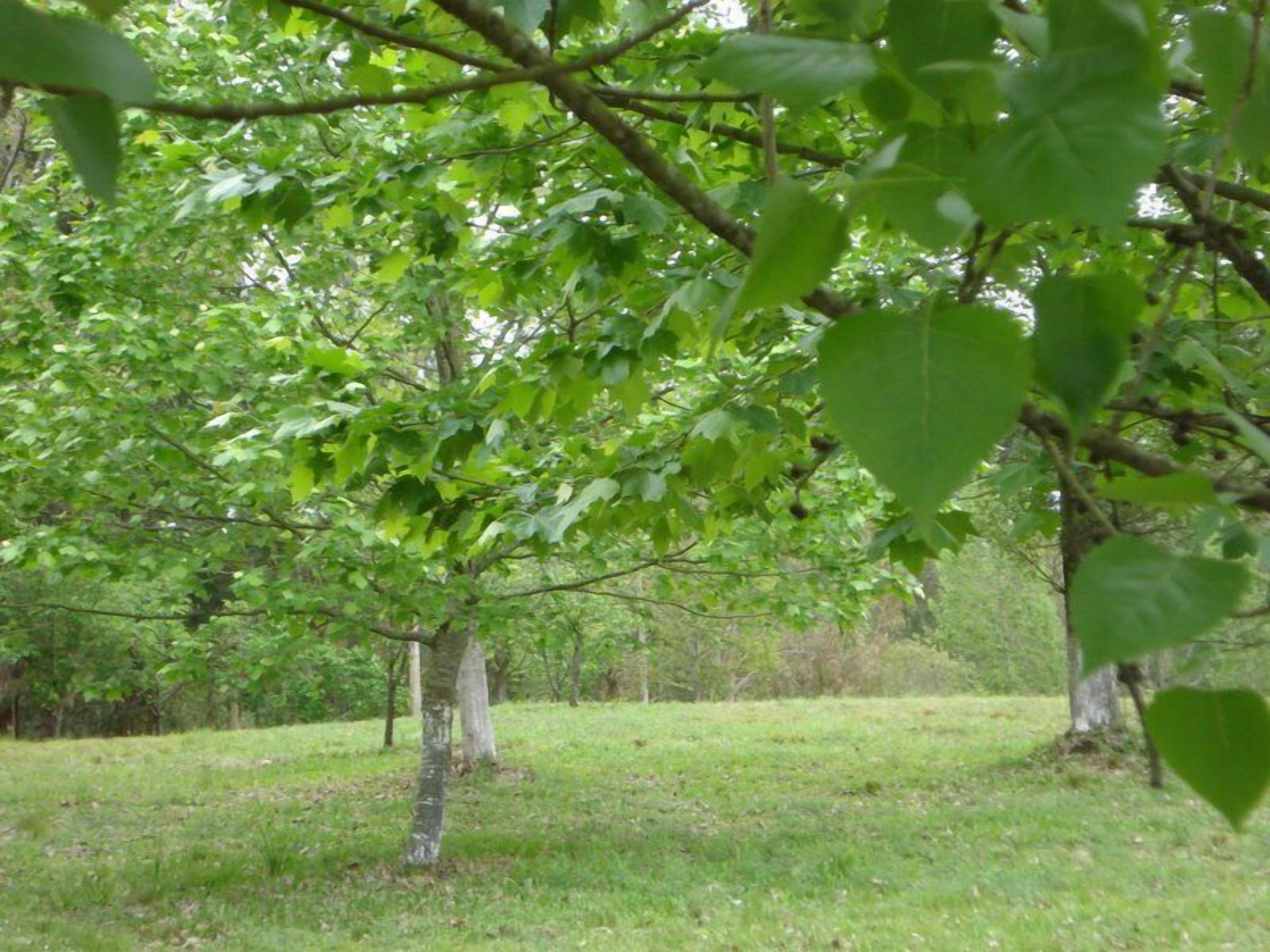 Harry World Parque Hotel