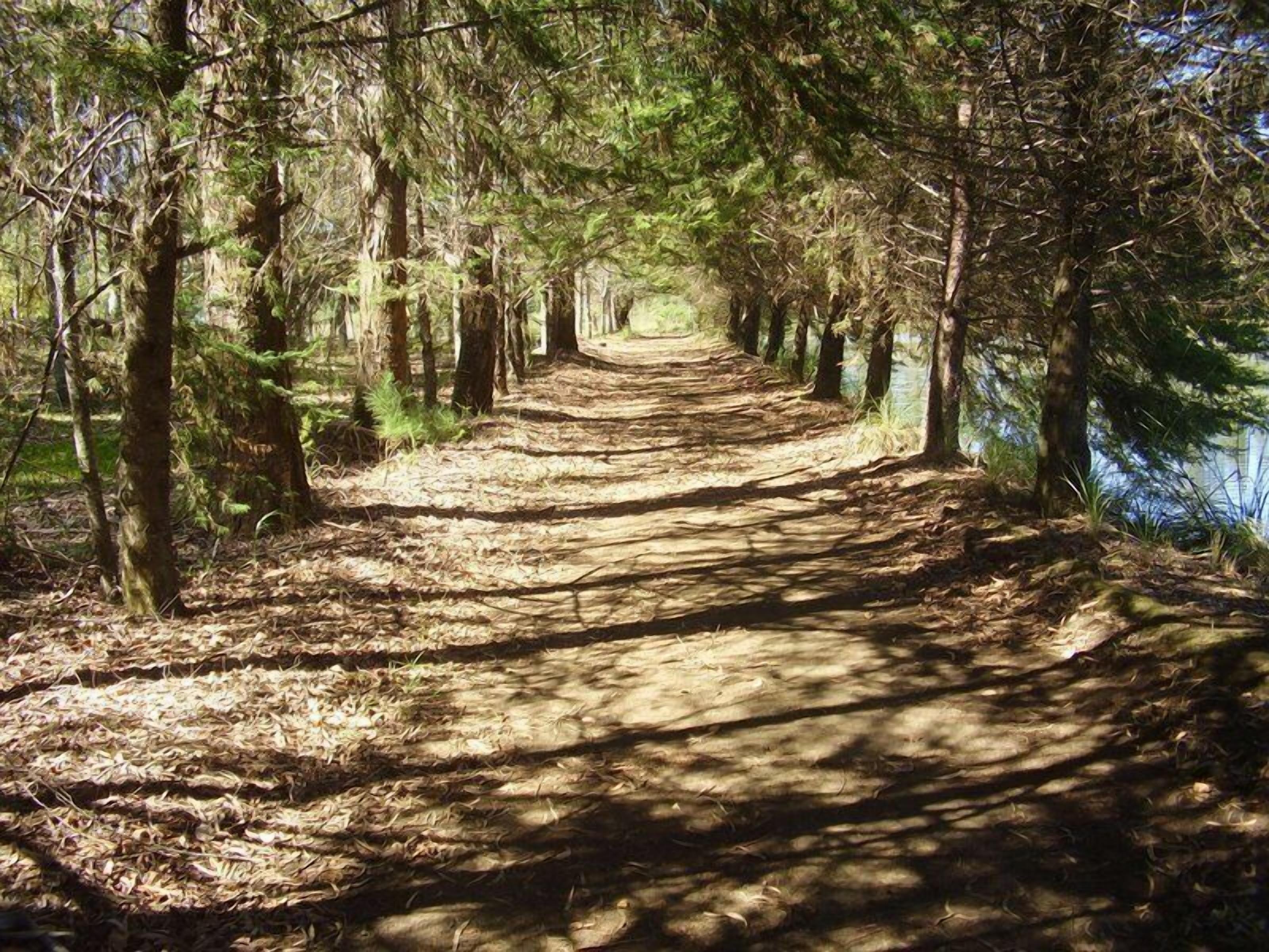 Harry World Parque Hotel