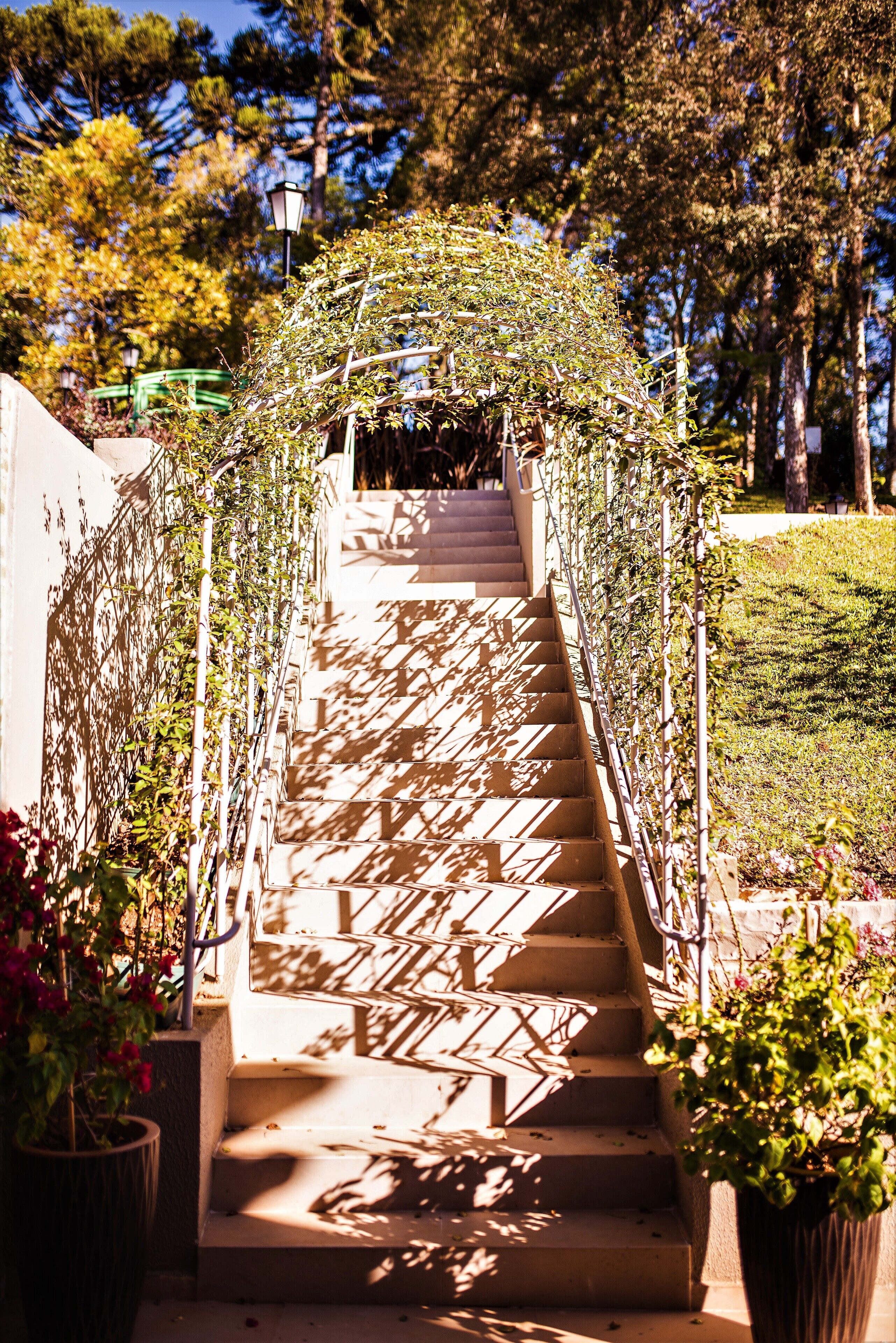 Castelo Boutique Hotel