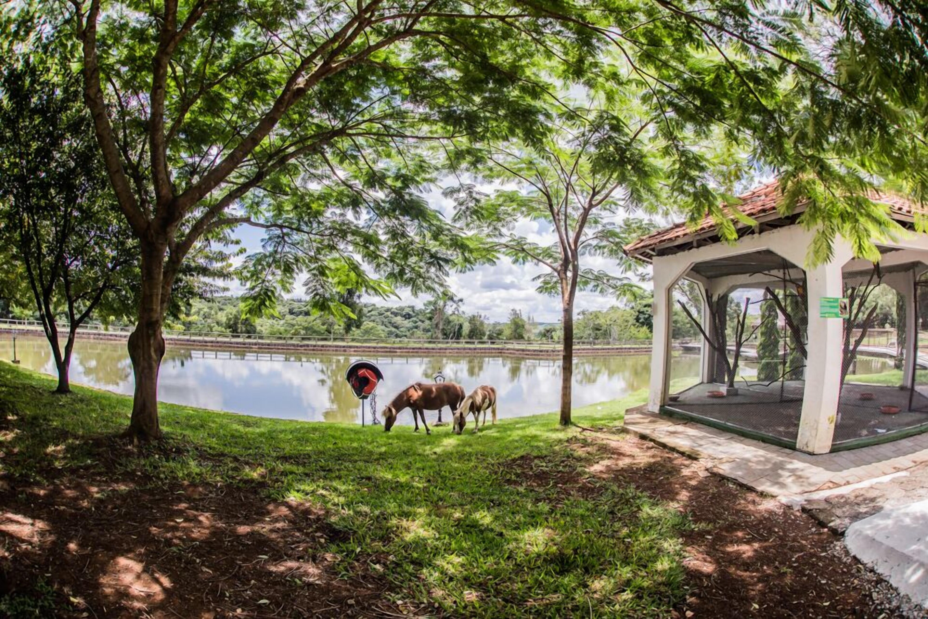 Maestro Aguas Quentes De Beltrao