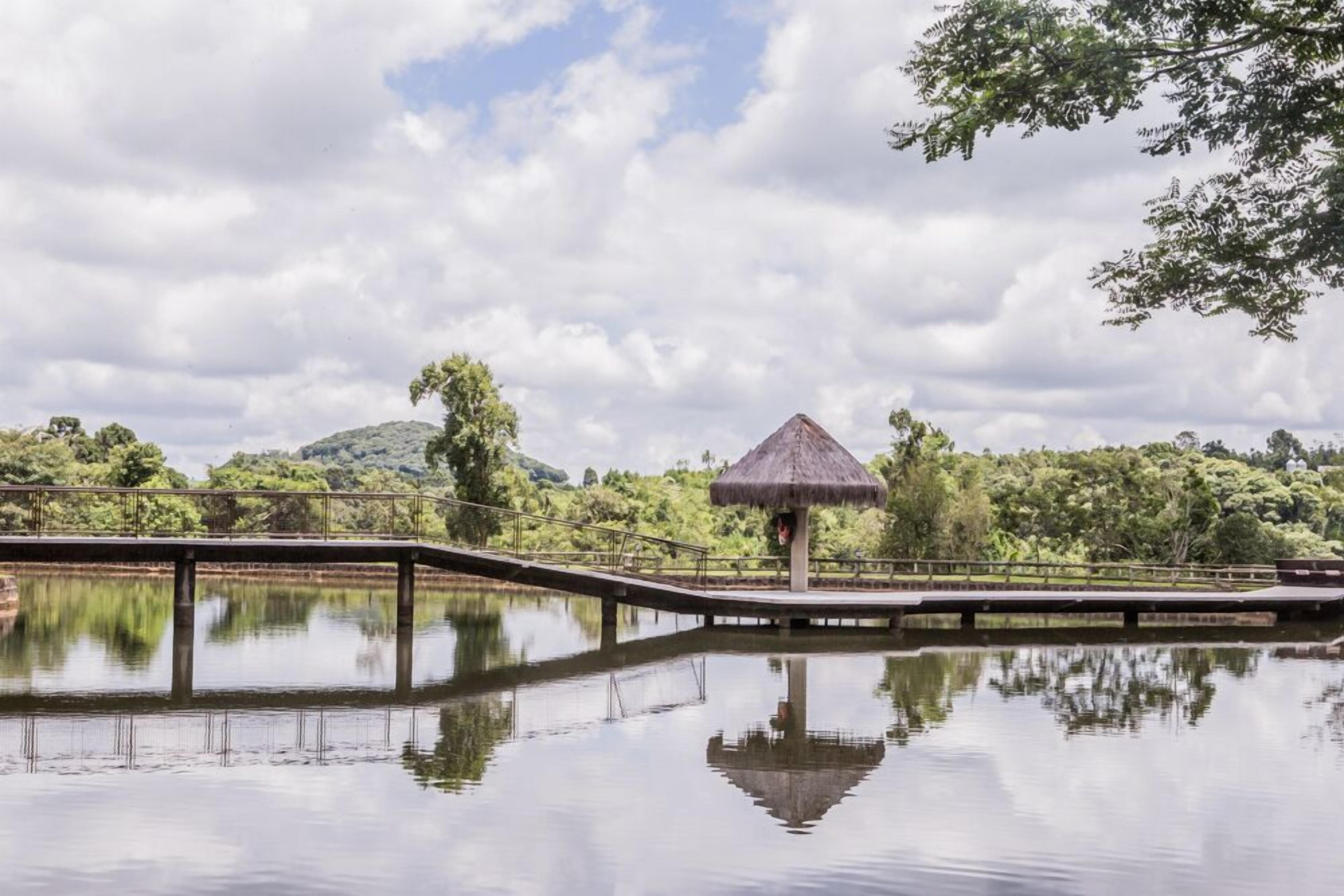Maestro Aguas Quentes De Beltrao