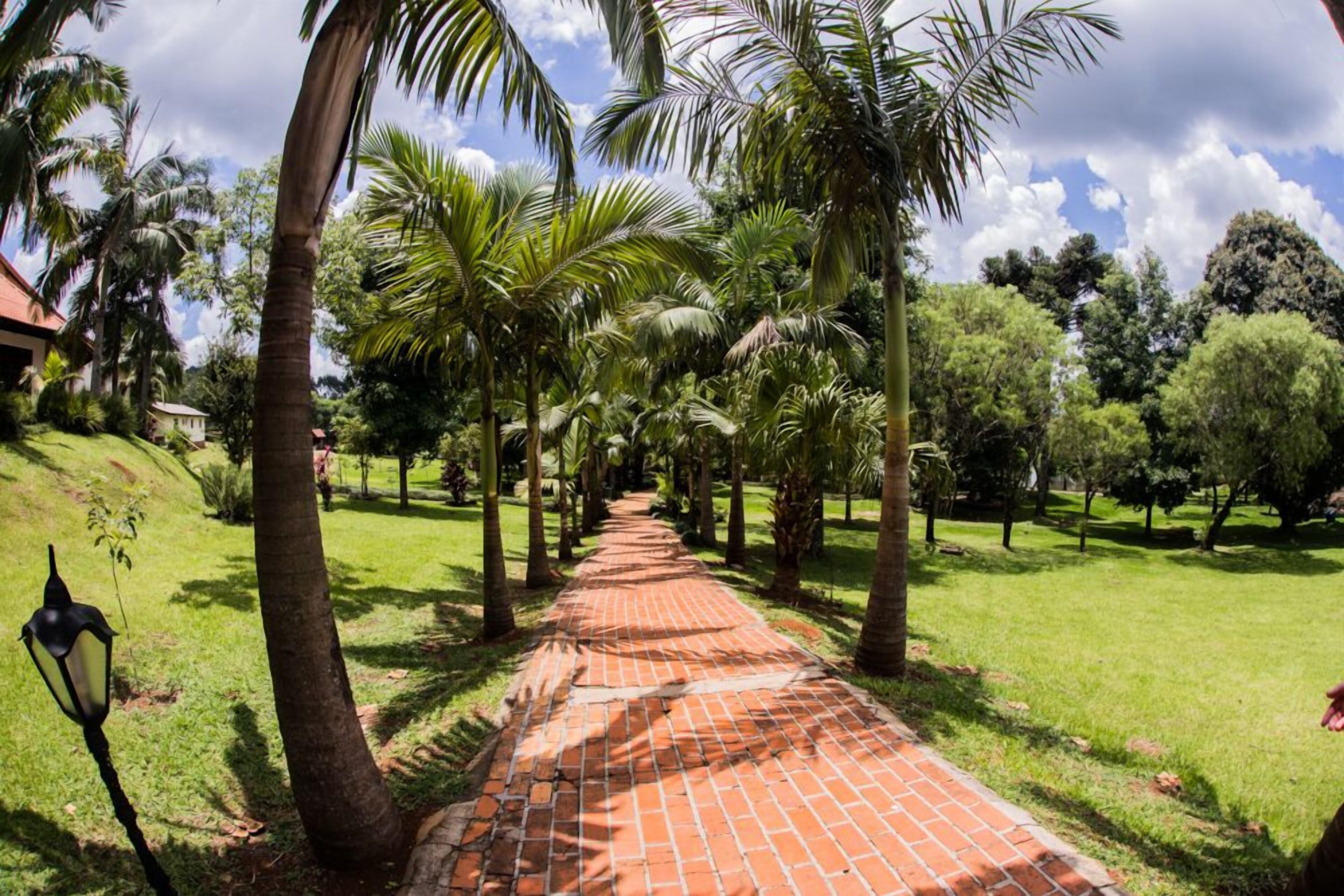 Maestro Aguas Quentes De Beltrao