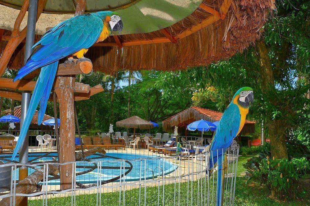 Cabanas Termas Hotel