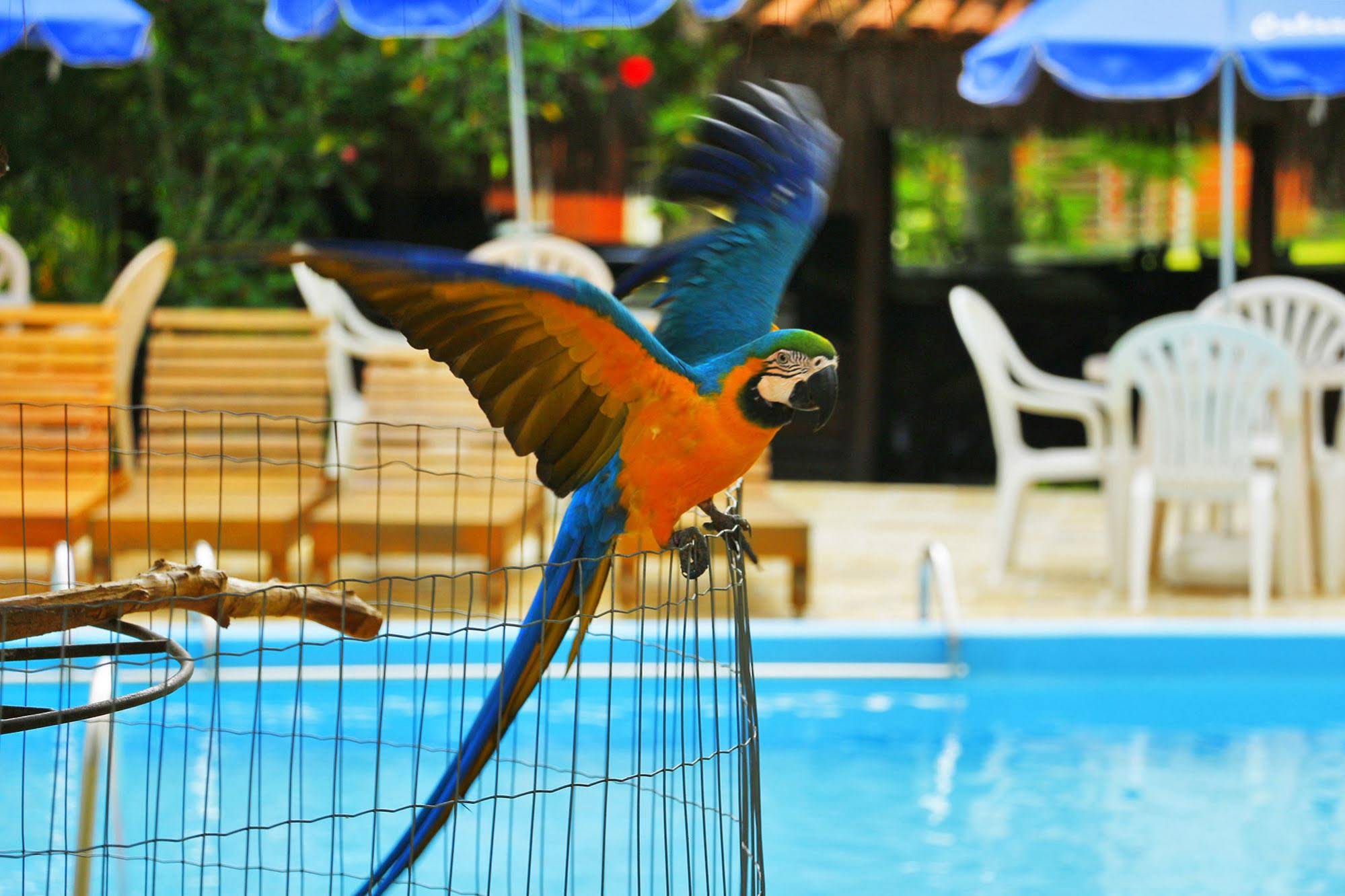 Cabanas Termas Hotel