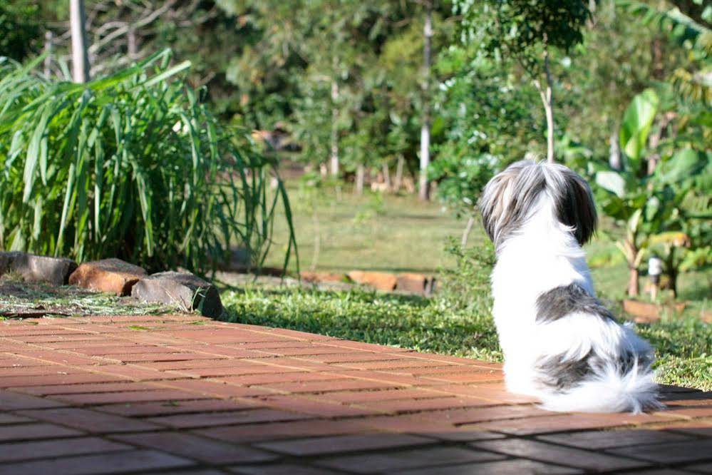 Pousada Agroecológica Guata Porã