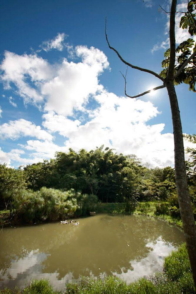 Pousada Agroecológica Guata Porã
