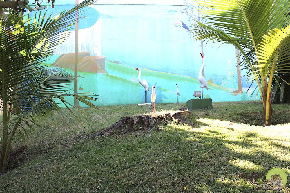 Pousada Natureza Foz