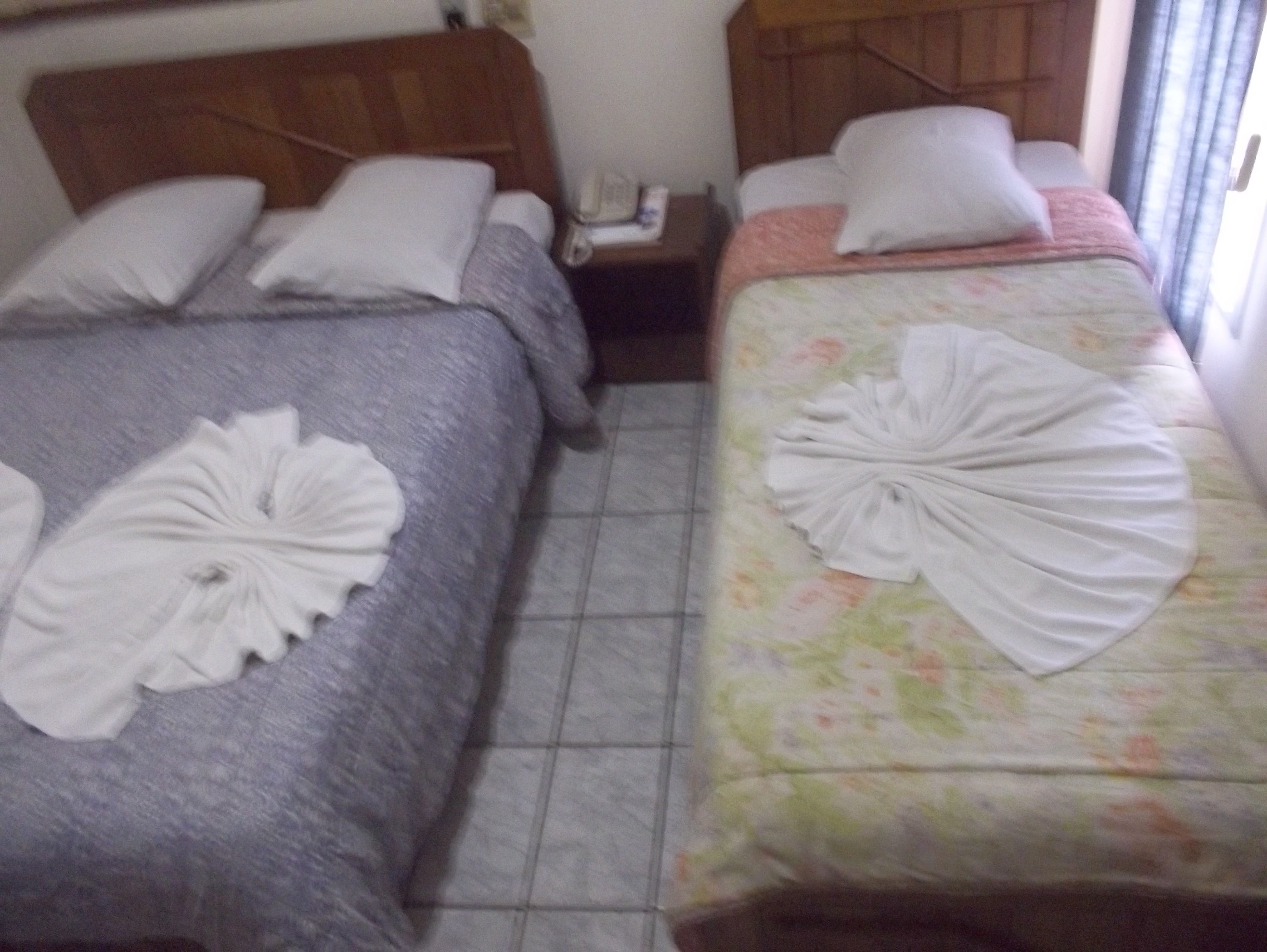 Tulipa Hotel