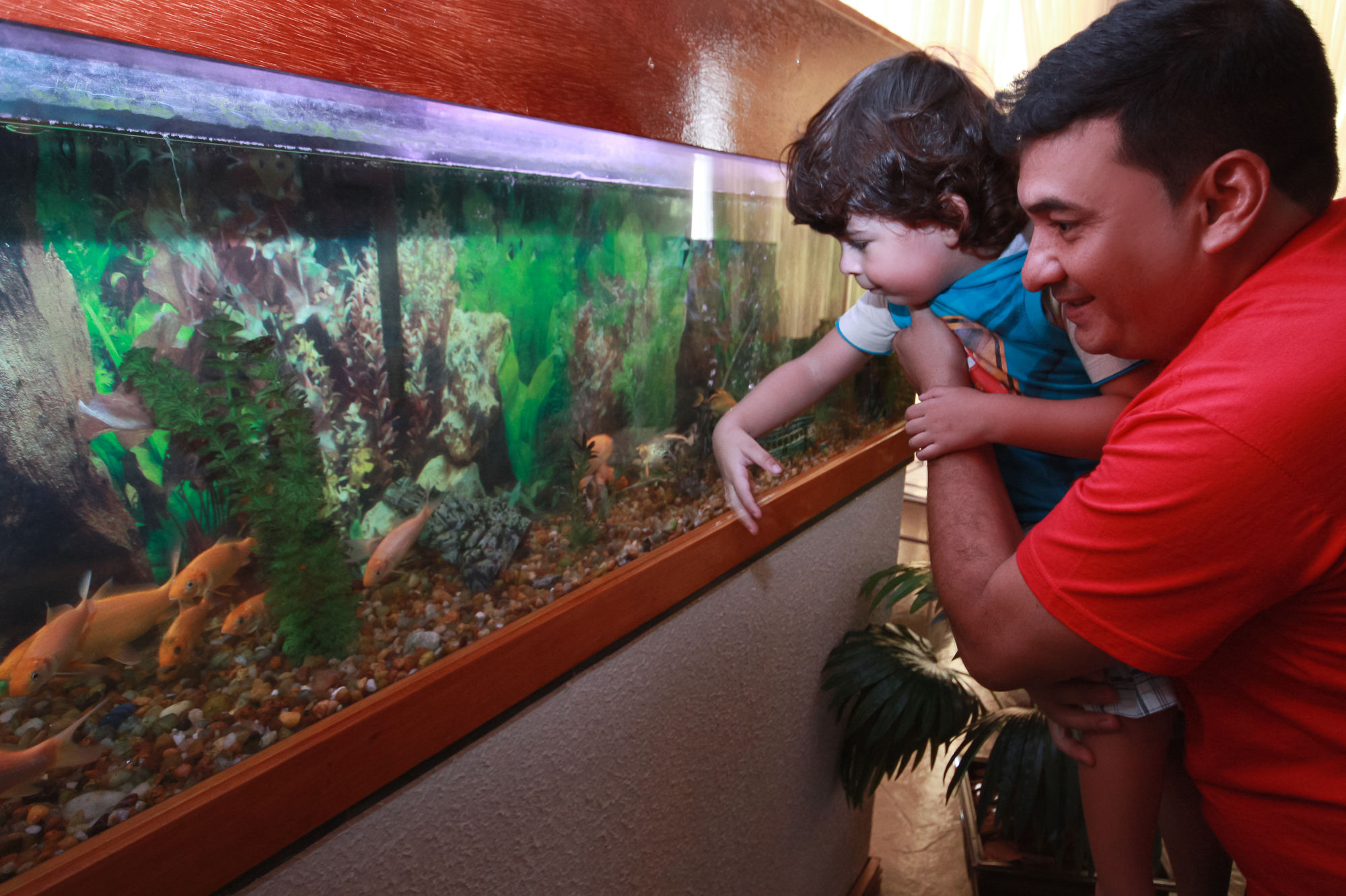 Hotel Portinari Centro