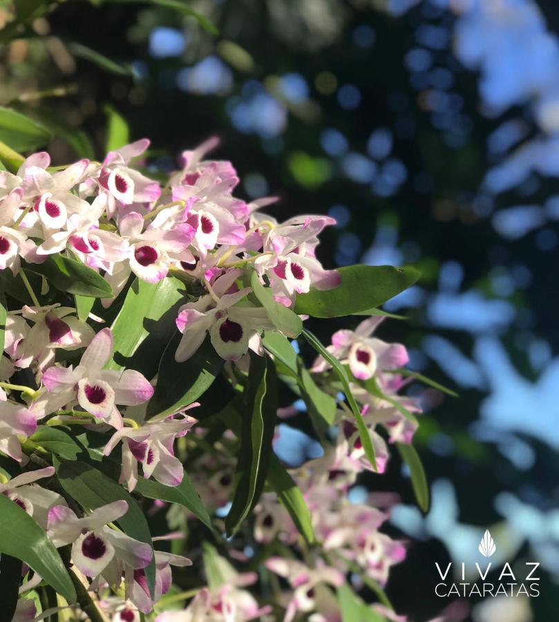 Vivaz Cataratas Hotel Resort