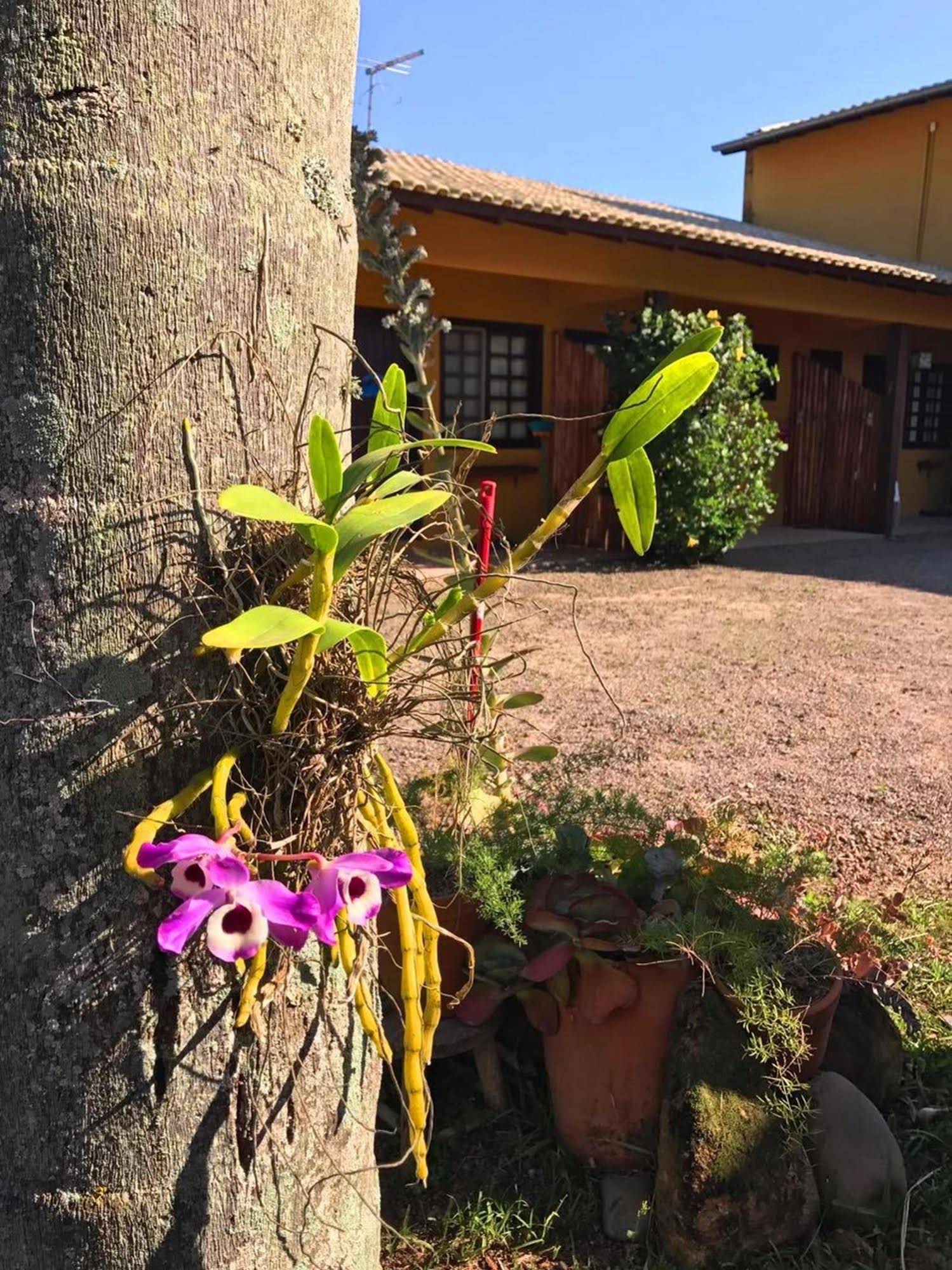 Pousada Habitat Marinho
