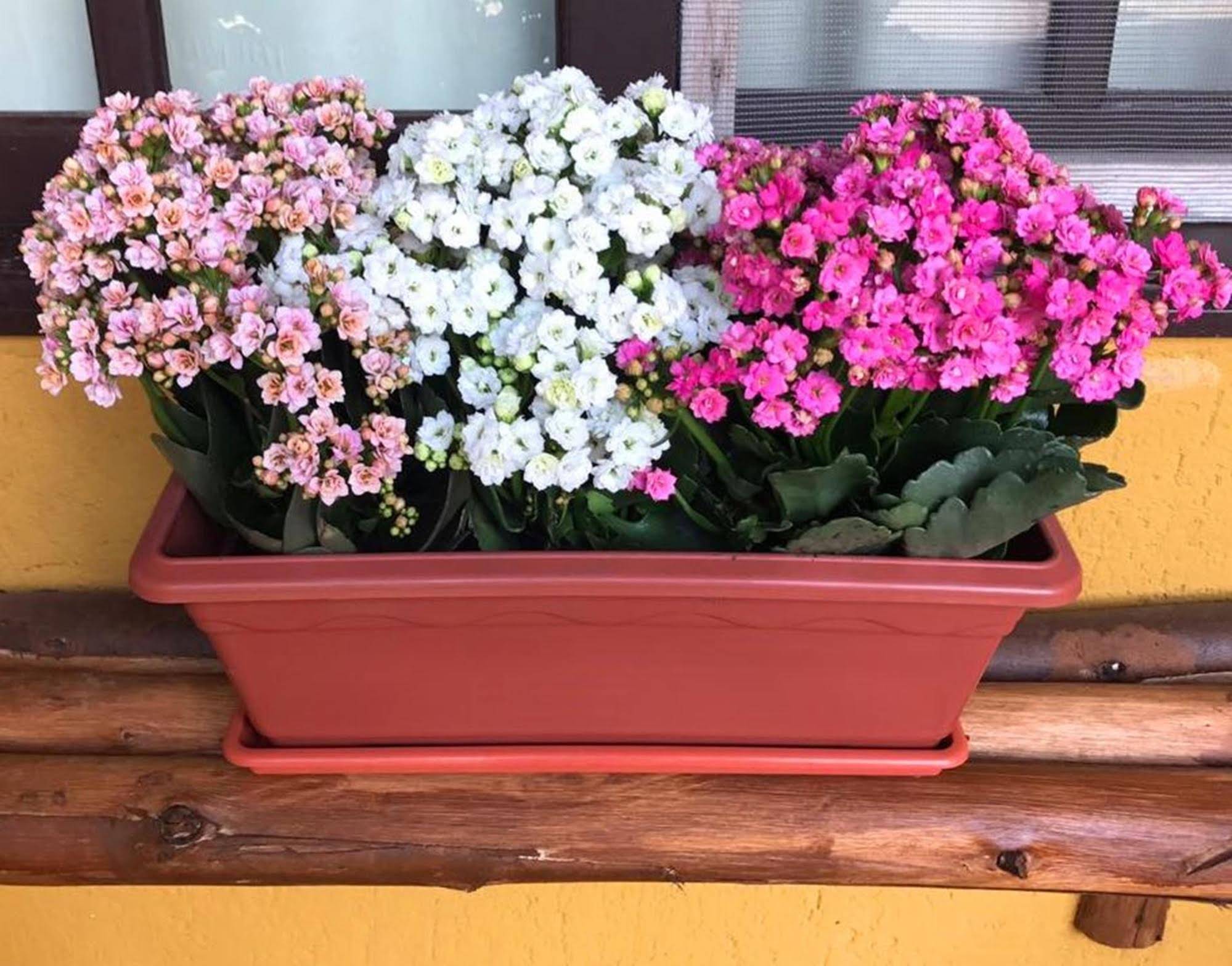 Pousada Habitat Marinho