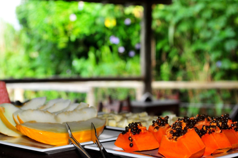 Morada da Praia do Rosa