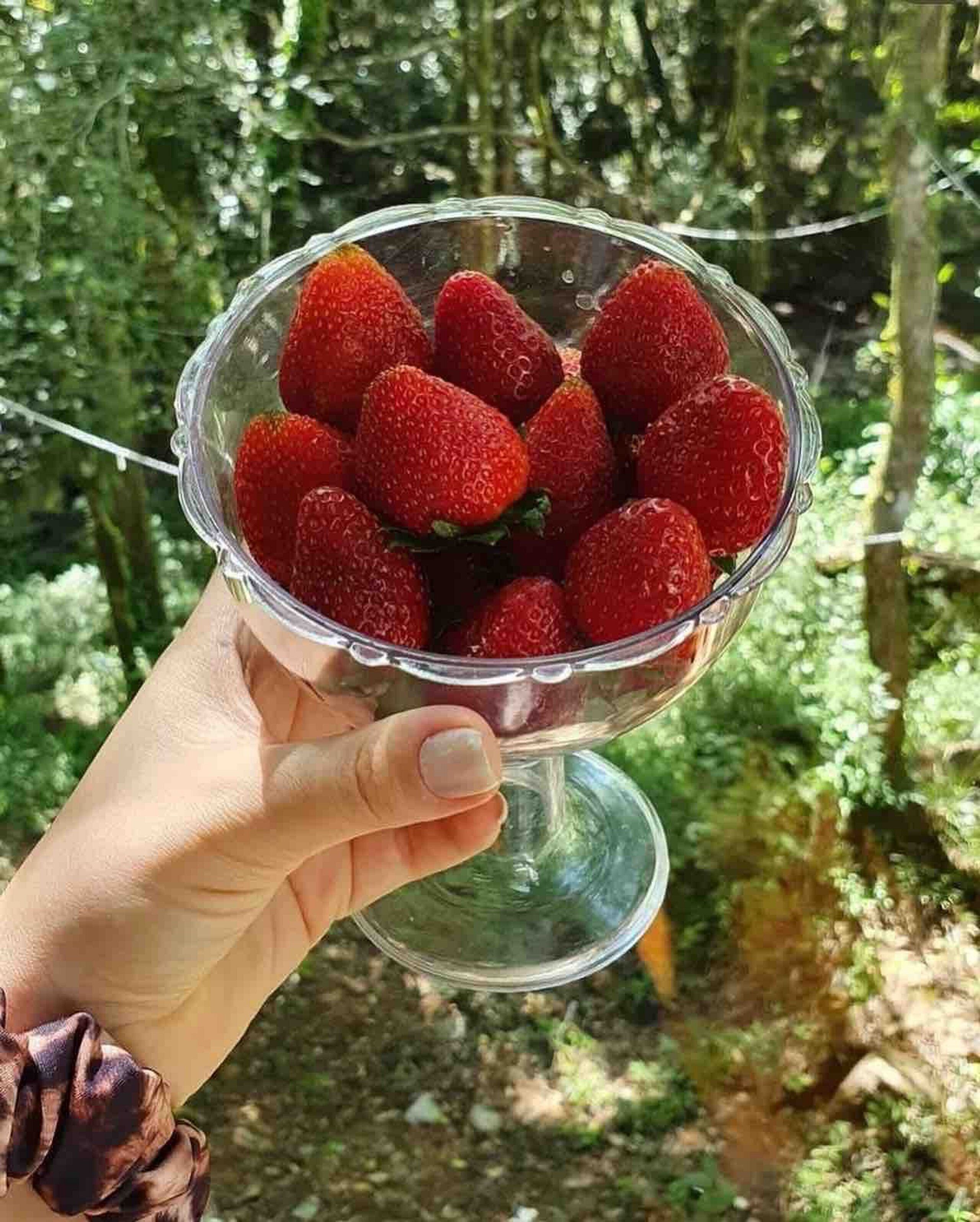 L'esperienza - Chalés completos - Ecoturismo