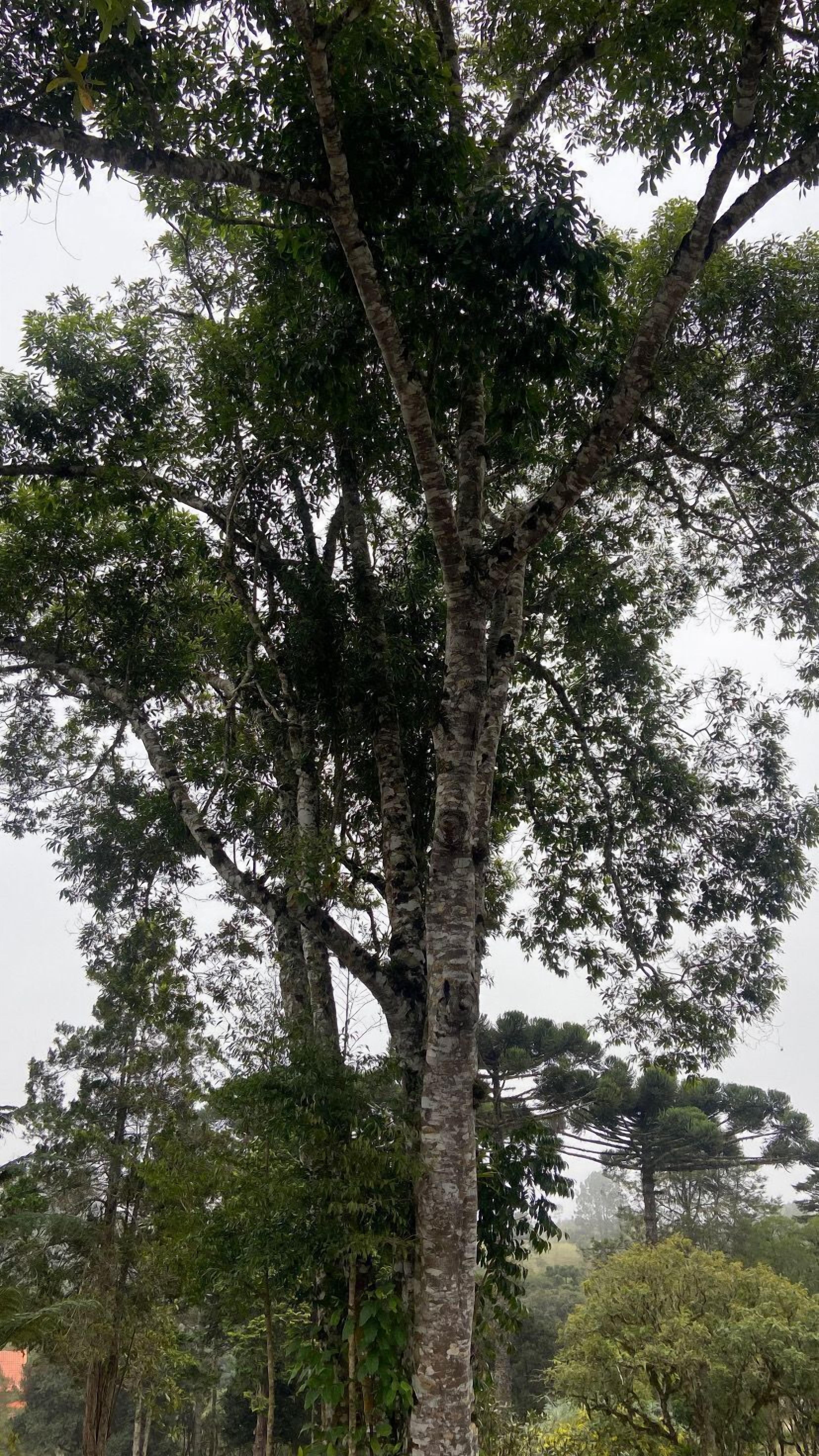 Hotel Villa Verde by Easy Hotéis