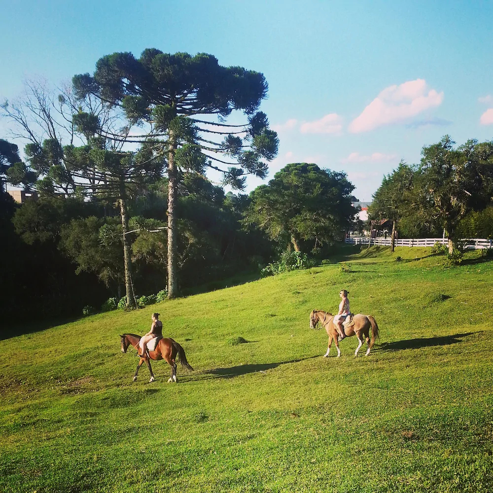 Hotel Das Araucárias