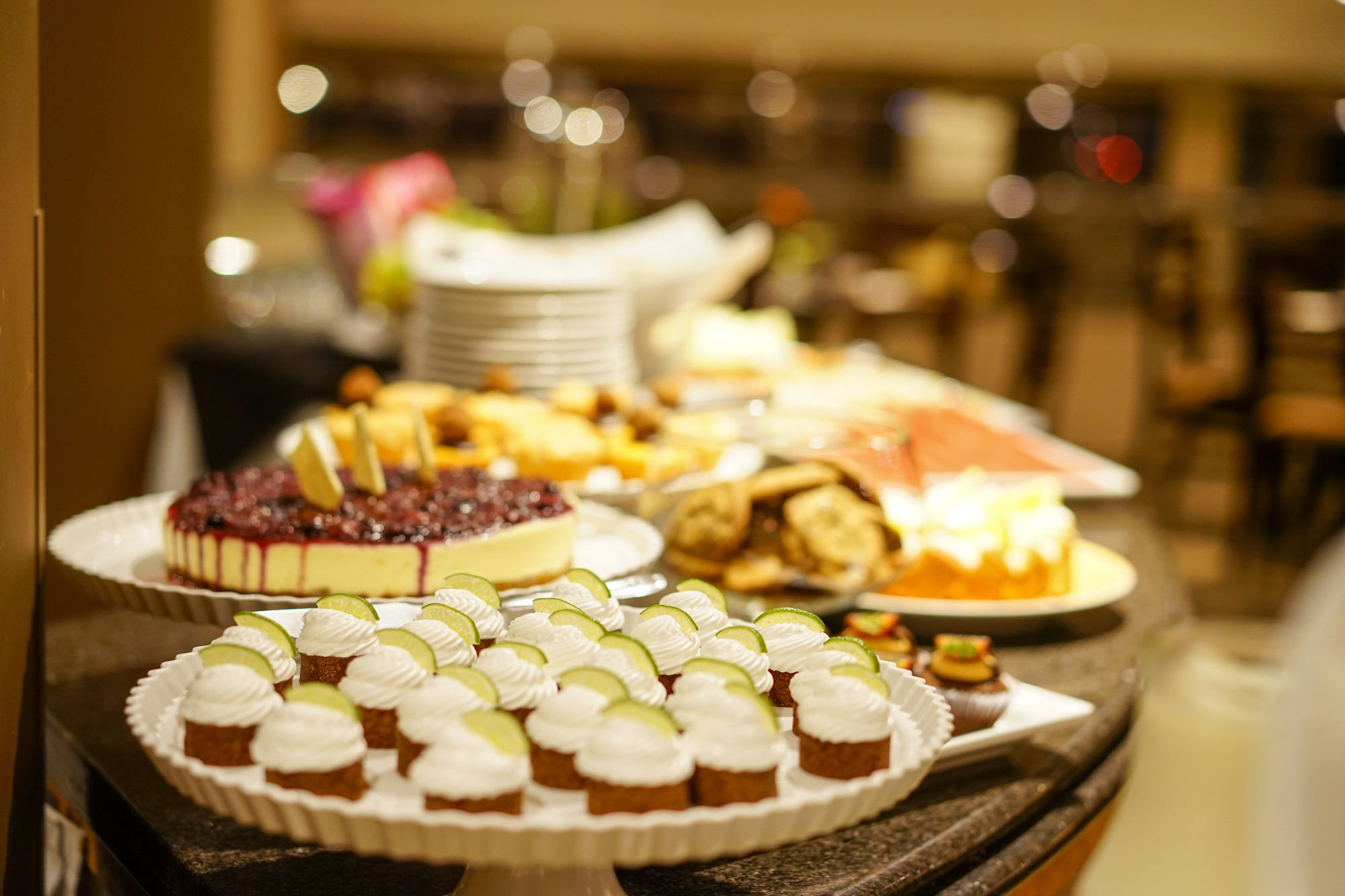 Bourbon Dom Ricardo Aeroporto Curitiba Business